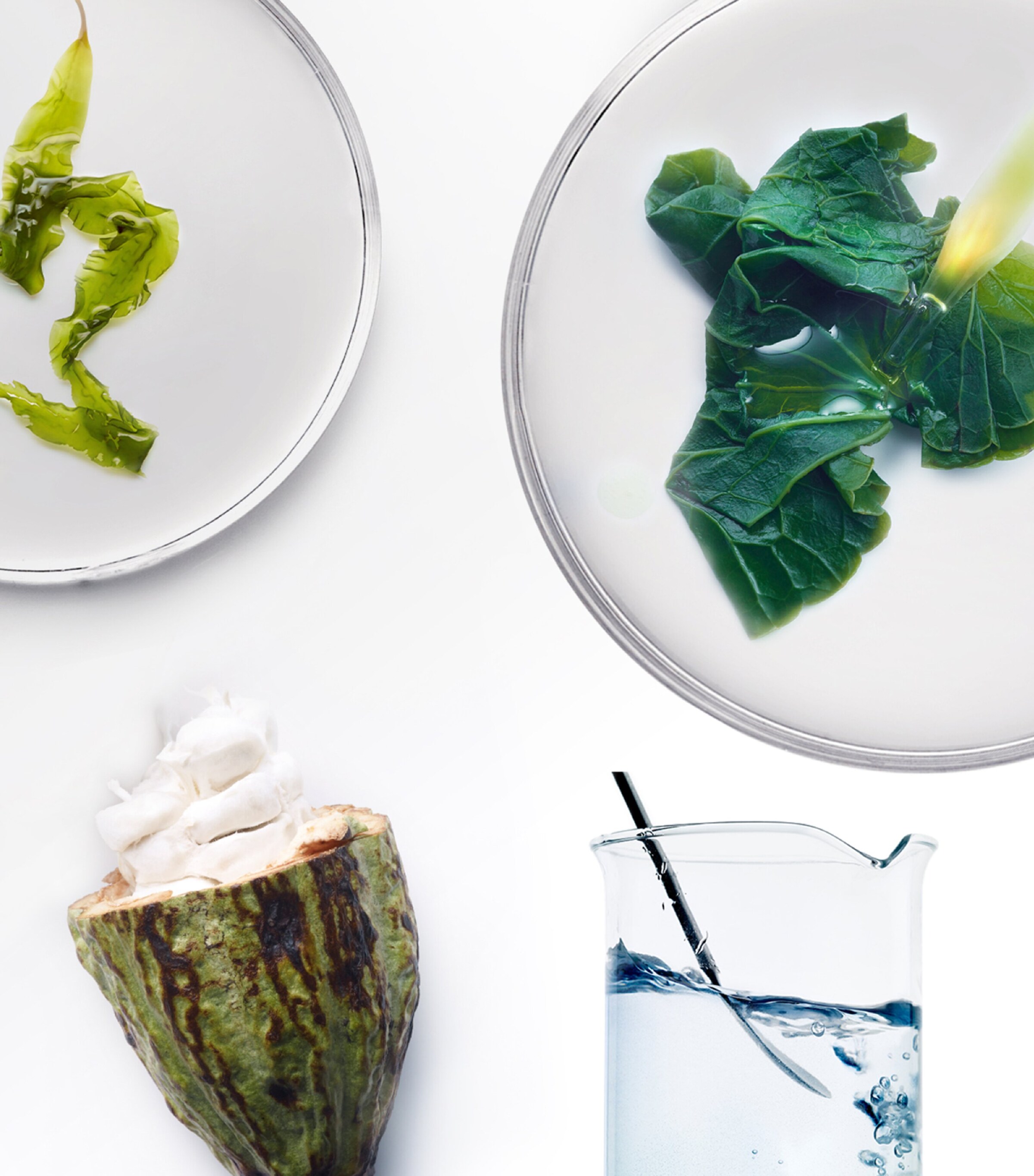 The Brilliant Overnight Recharge Cream (30 x 0.8ml) NO COLOUR Image 3