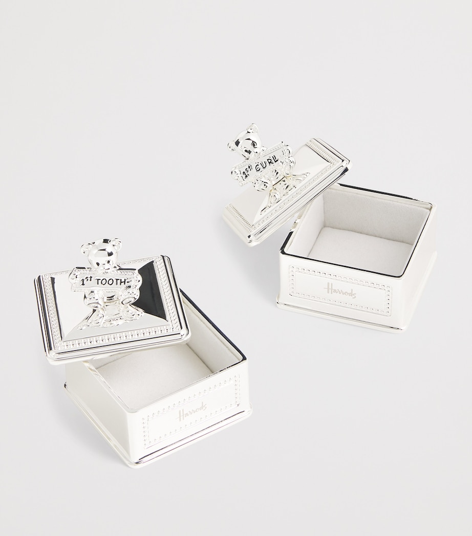 Keepsake Tooth and Curl Boxes Set SILVER Image 3