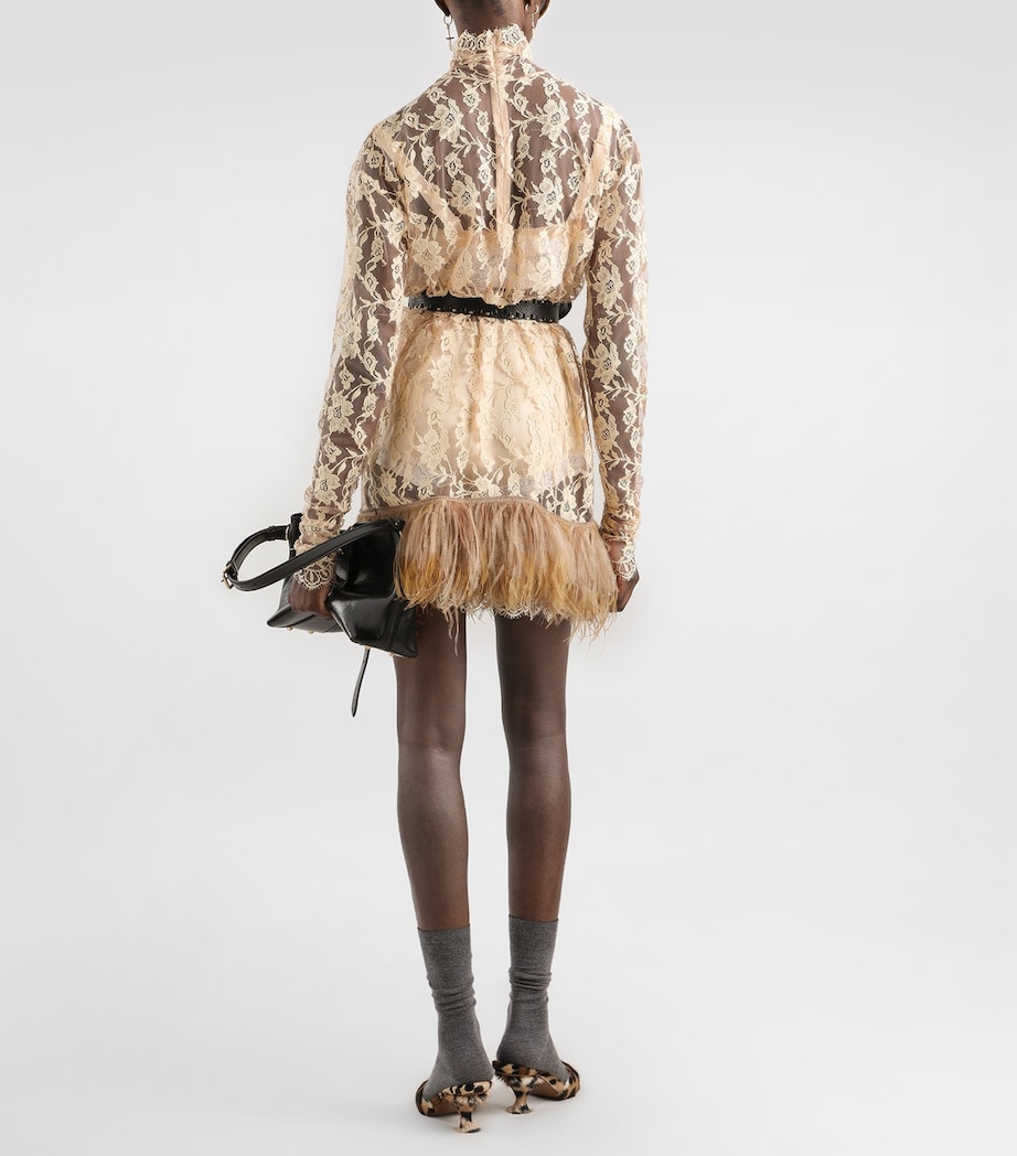 Dolce&Gabbana Womens Lace Feather-Trim Mini Dress Ecru Image 3