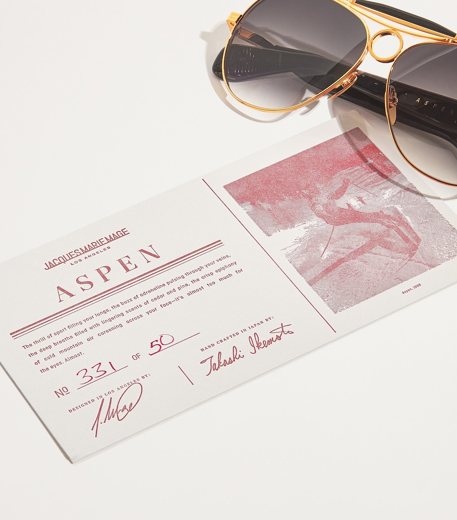 Aspen Aviator Sunglasses GOLD Image 5