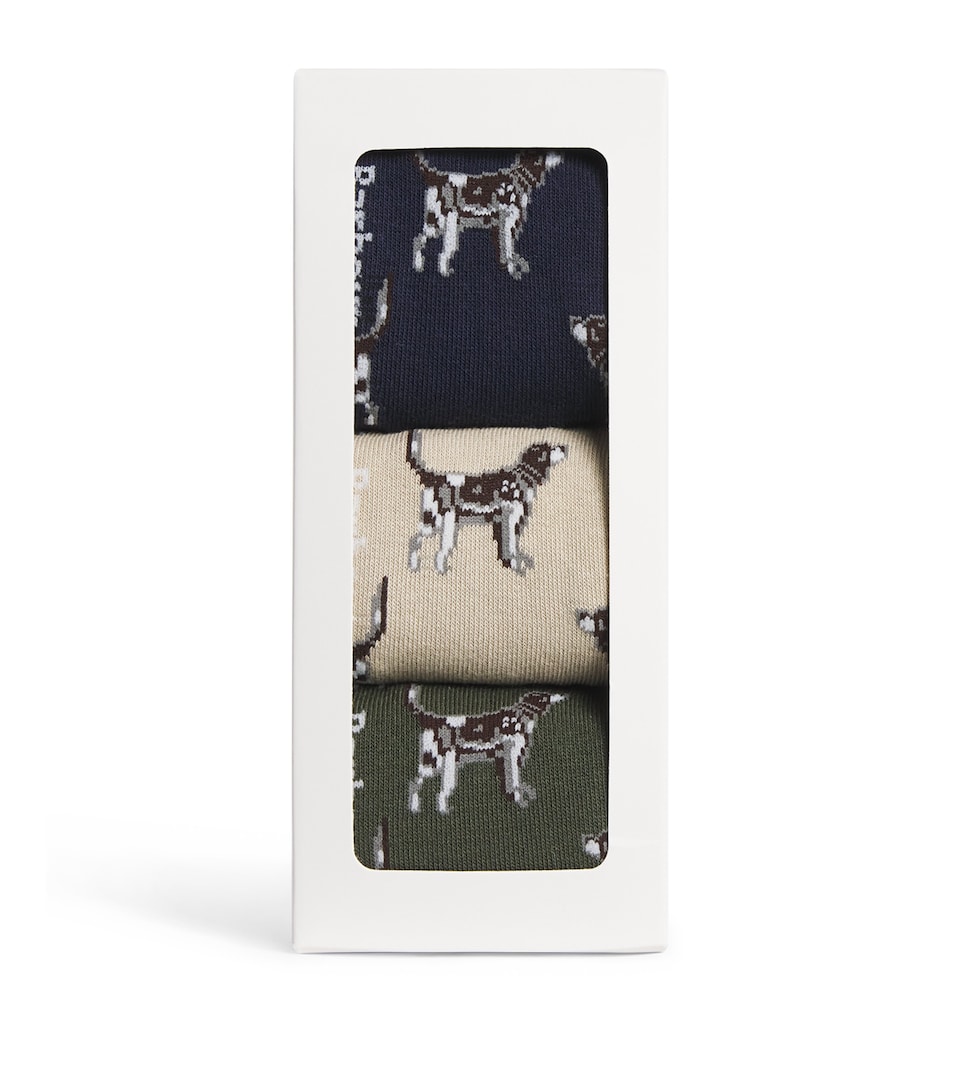 Pointer Dog Socks (Pack of 3)