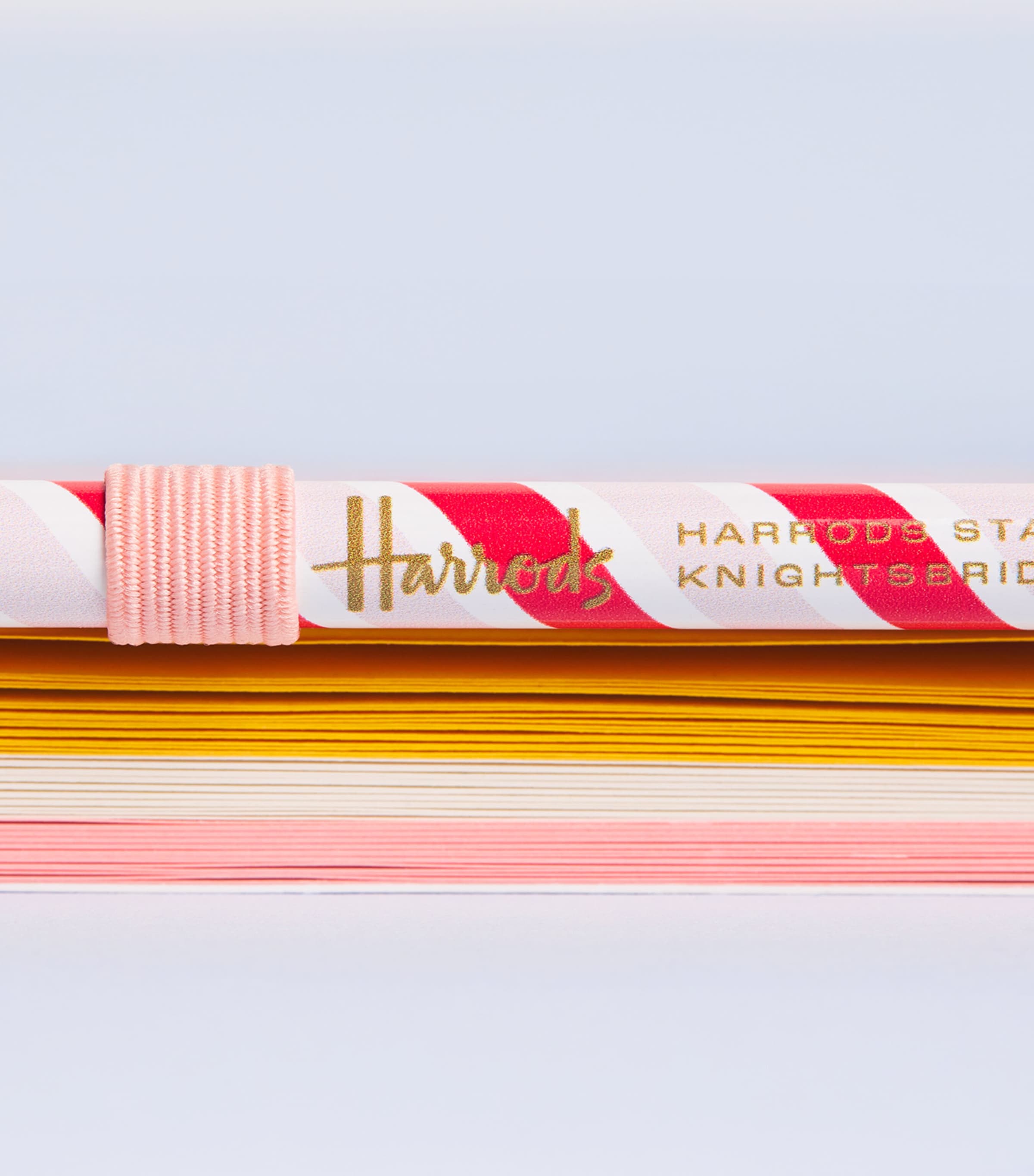 Harrods Pony Parade A6 Notebook Image 3