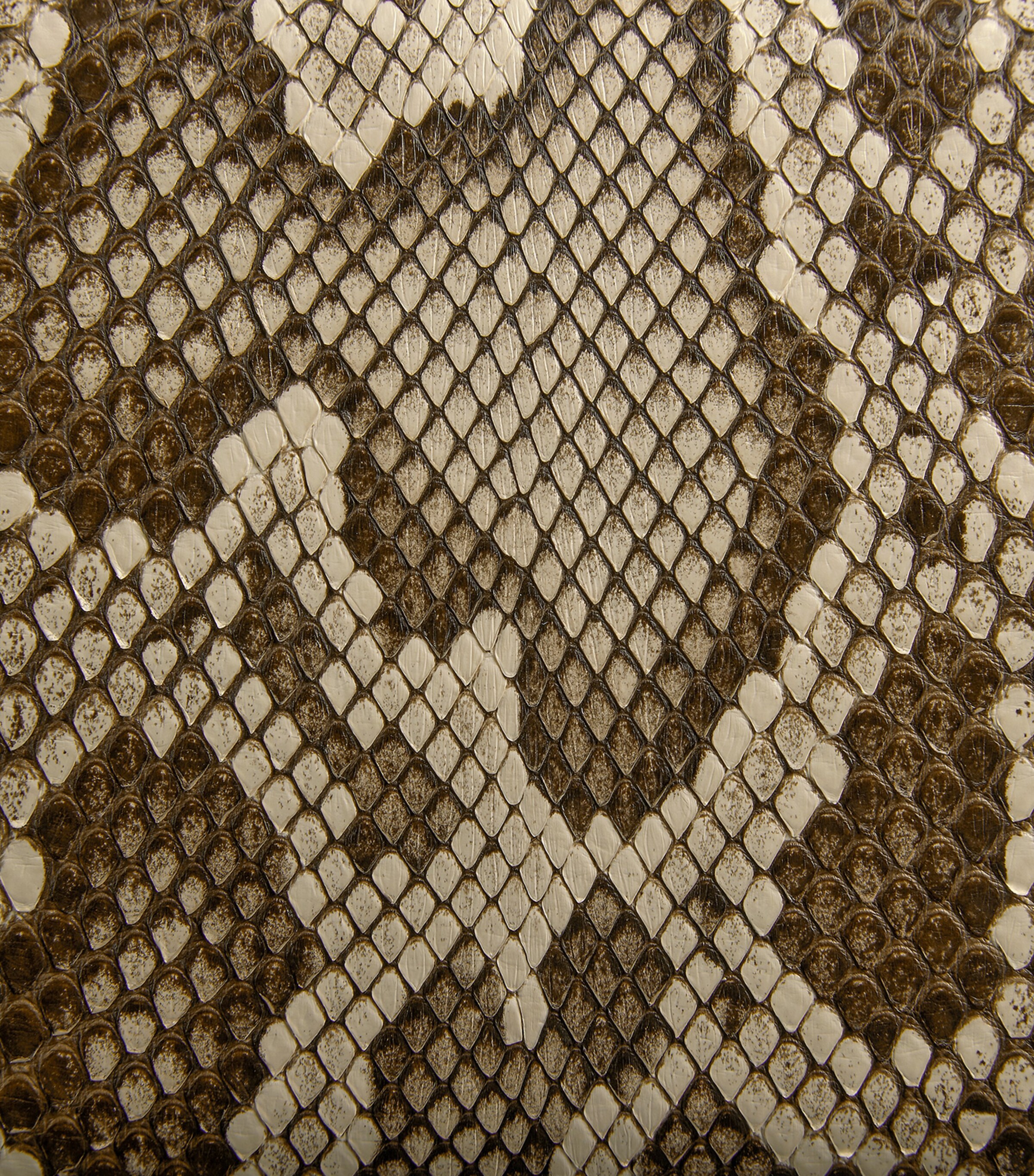 Snakeskin Knot Clutch Bag 8336 Image 5