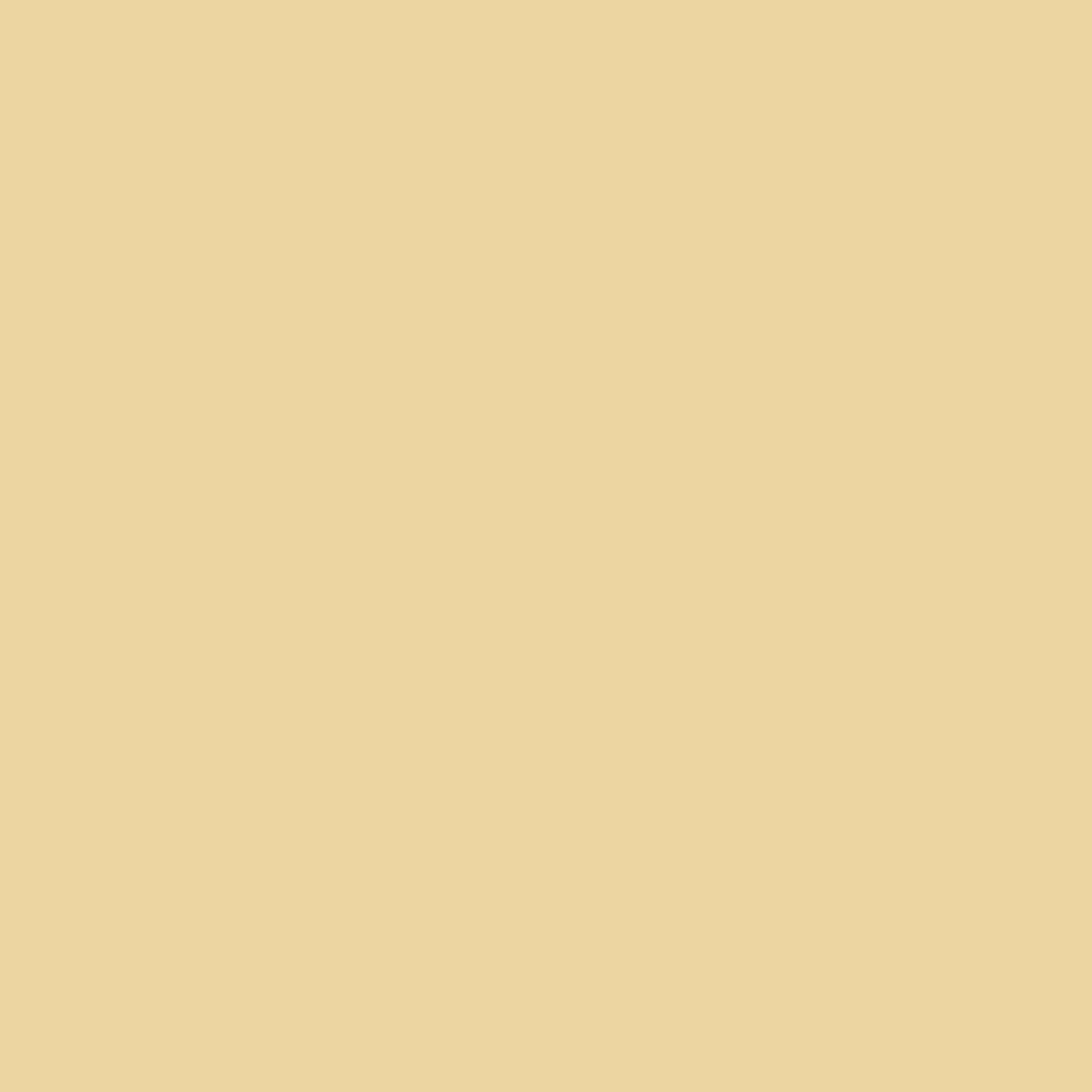 Suzanne Kalan Yellow Gold Block-Chain ID Bracelet — photo 6