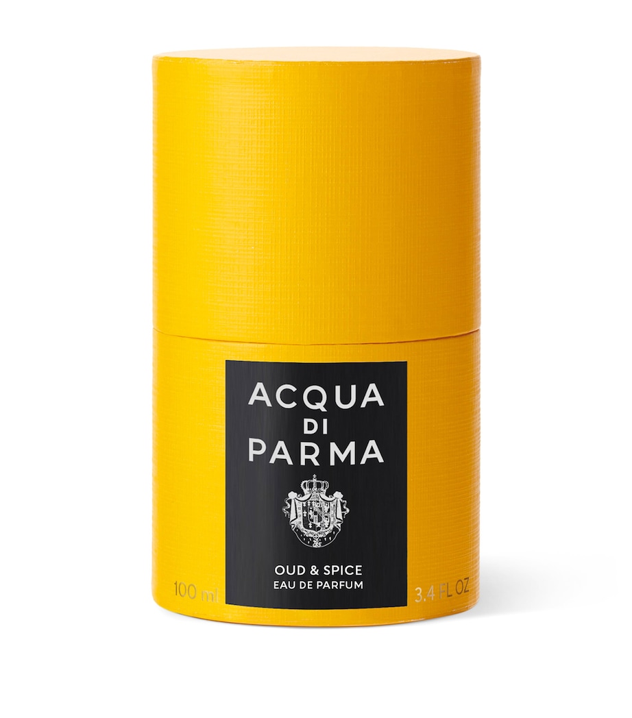 Oud & Spice Eau de Parfum (100ml) NO COLOUR Image 3