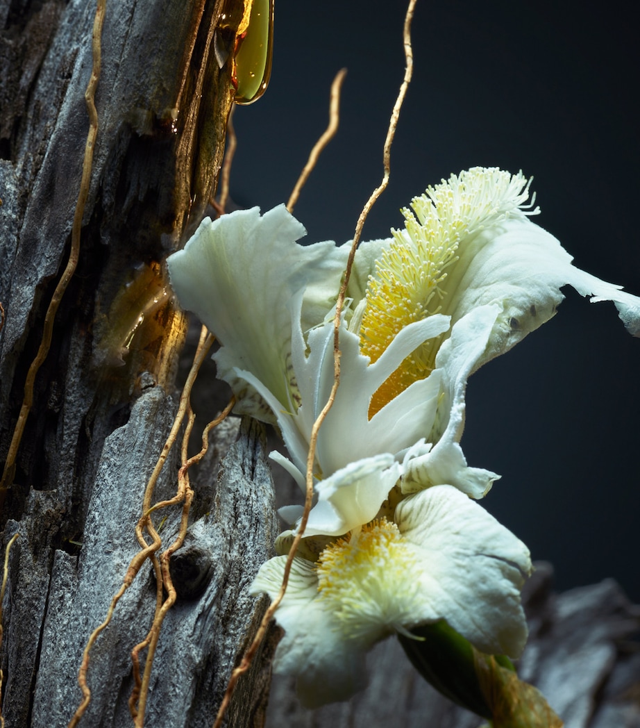 Vétiver Le Parfum Eau de Parfum (100ml) NO COLOUR Image 4