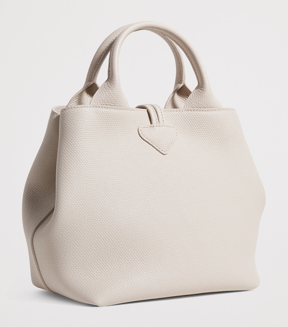 Small Leather Le Roseau Top-Handle Bag 555 PAPER Image 3