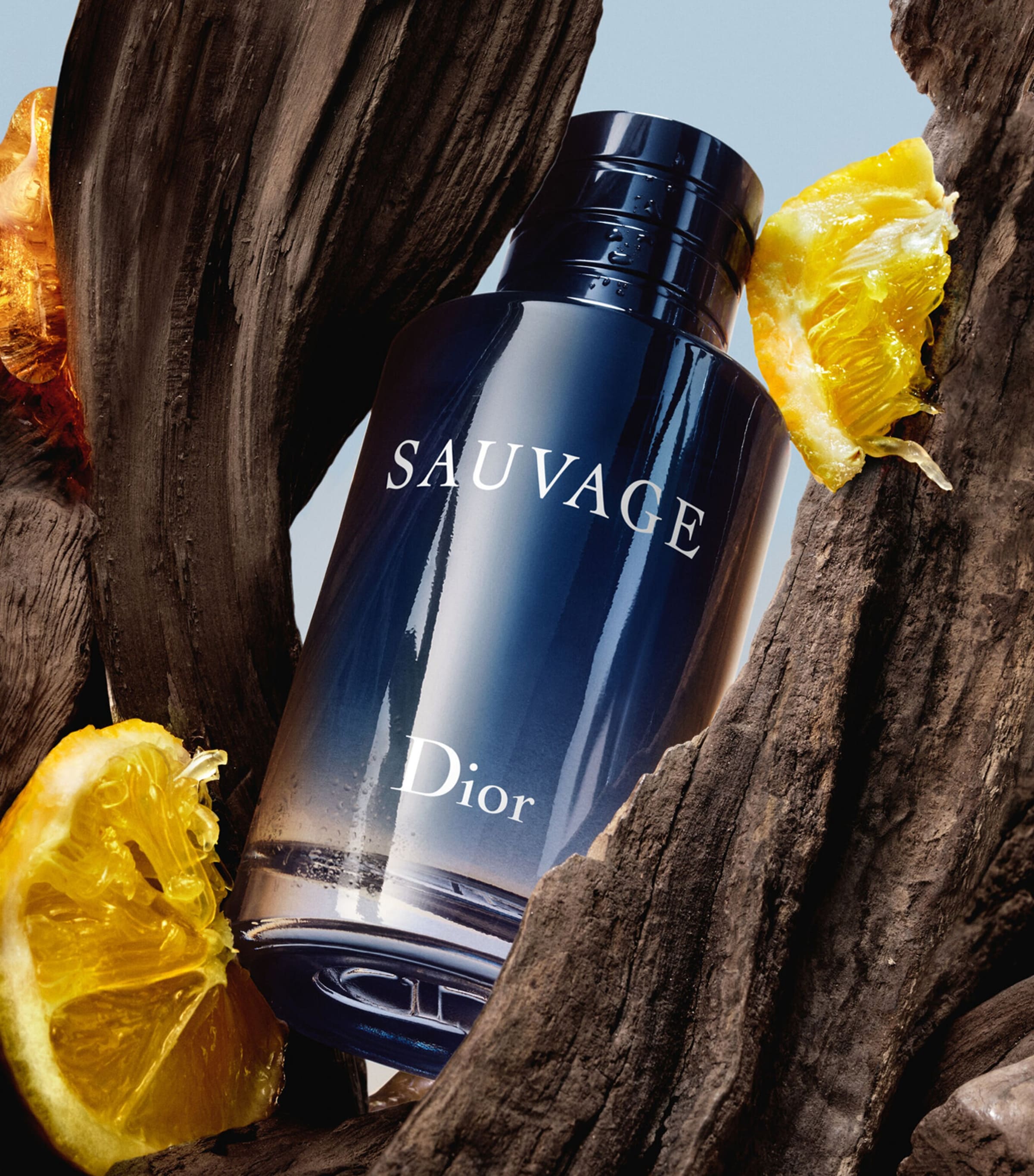 DIOR Sauvage Eau de Toilette (100ml) | Harrods US