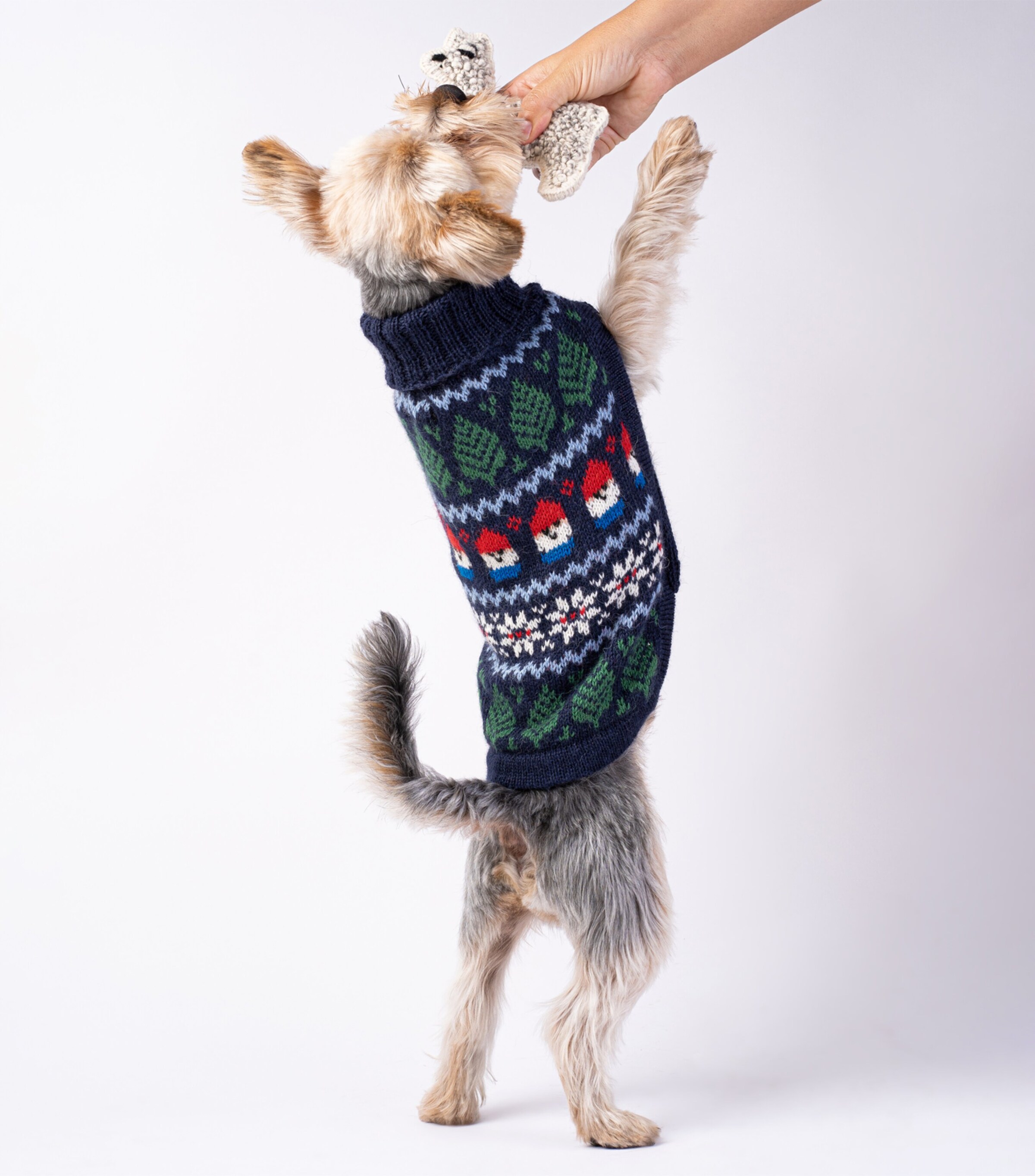 Alpaca-Blend Gnomes Dog Sweater BLUE Image 5