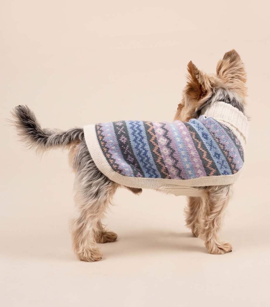 ALQO WASI Alpaca-Blend Cloudform Dog Sweater (Large) Cloudform Image 3