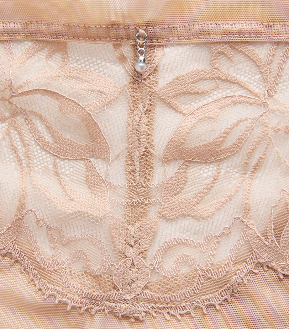 Wacoal Womens Lace-Trim Abéllia Tanga Roebuck Image 4
