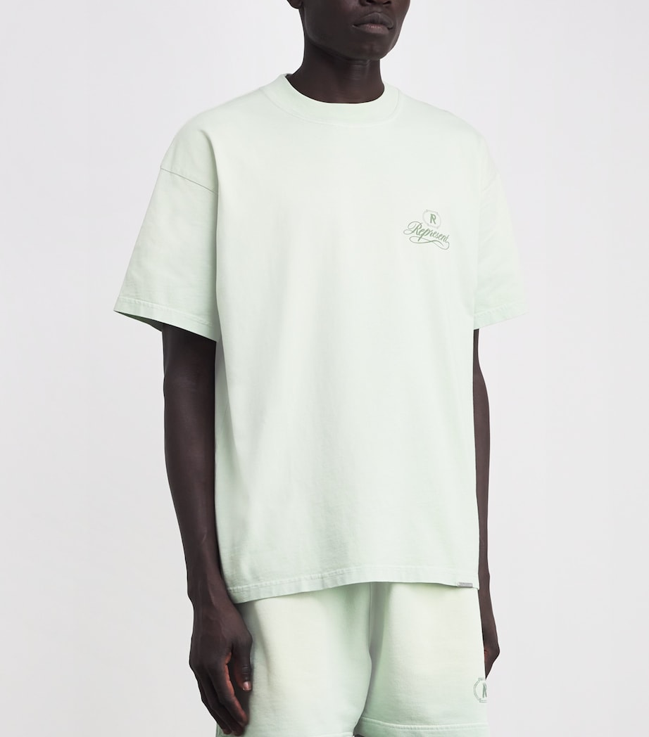 Cotton Grand Vintage T-Shirt WASHED SAGE Image 3