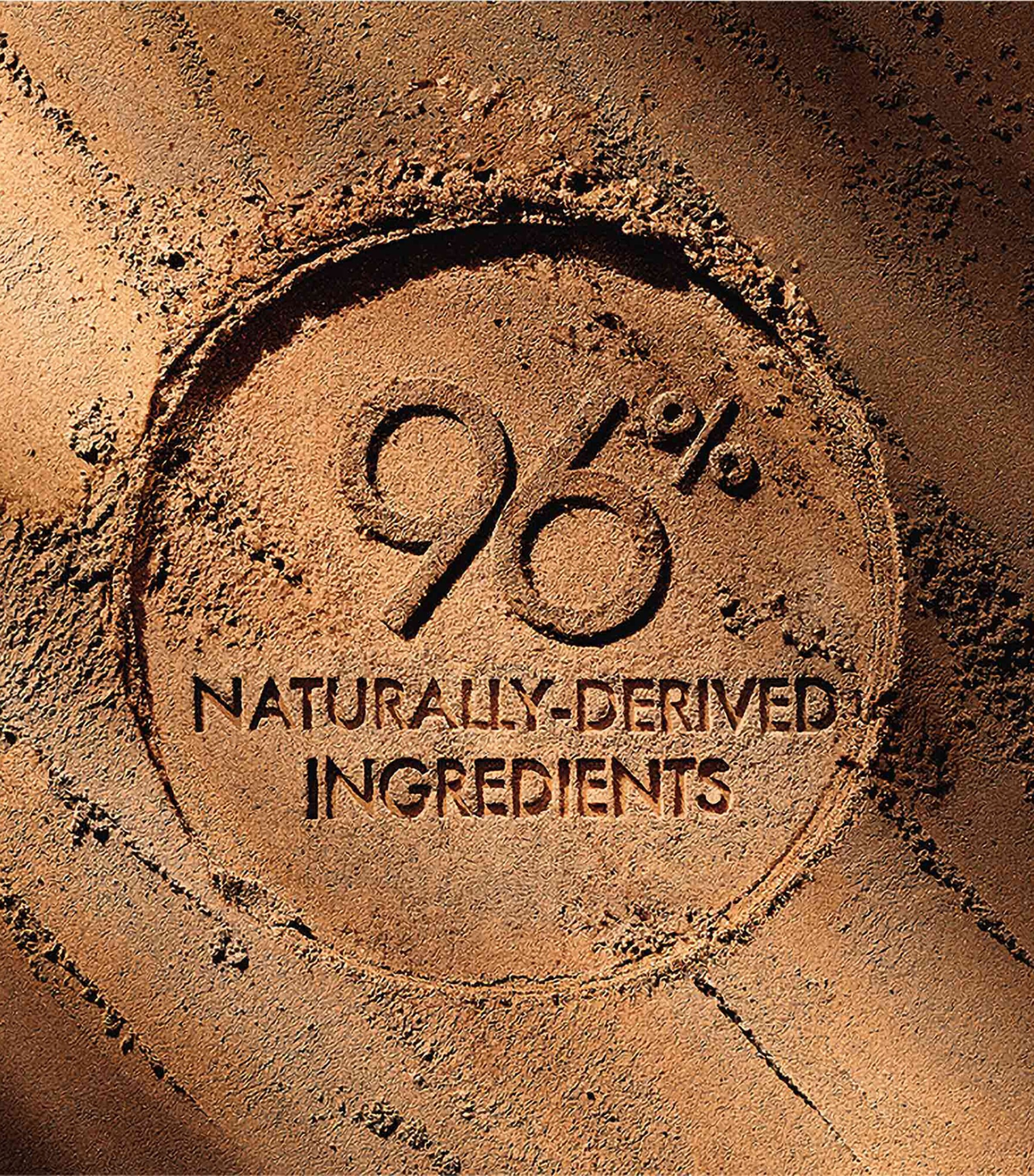 Guerlain Terracotta The Bronzing Powder 3 NUDE Image 8