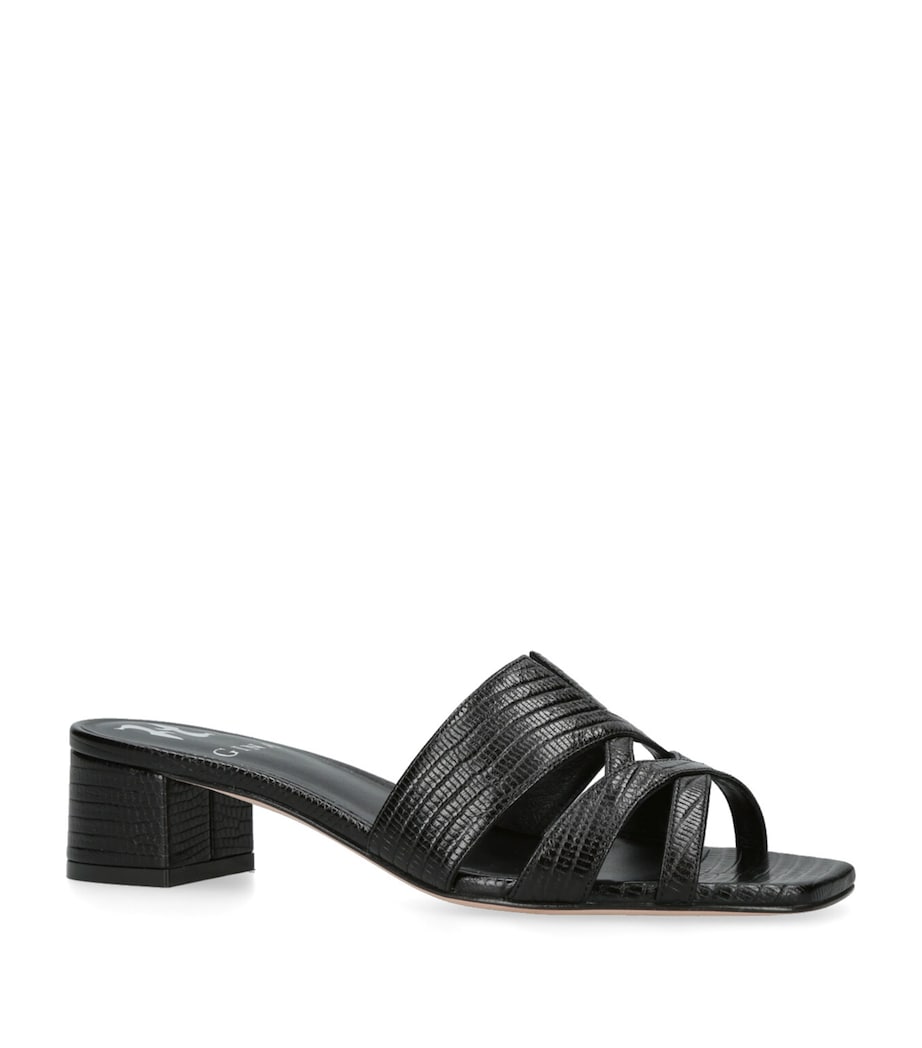 Montreaux Heeled Mules 35 BLACK Image 3