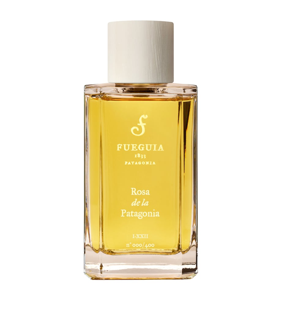 Rosa de la Patagonia Perfume (100ml) NO COLOUR Image 1