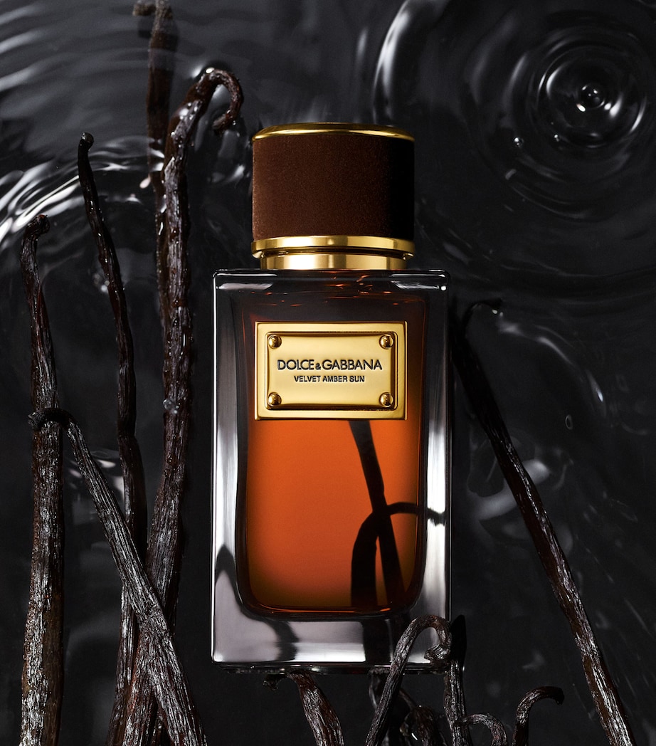 Velvet Amber Sun Eau de Parfum (100ml) NO COLOUR Image 3