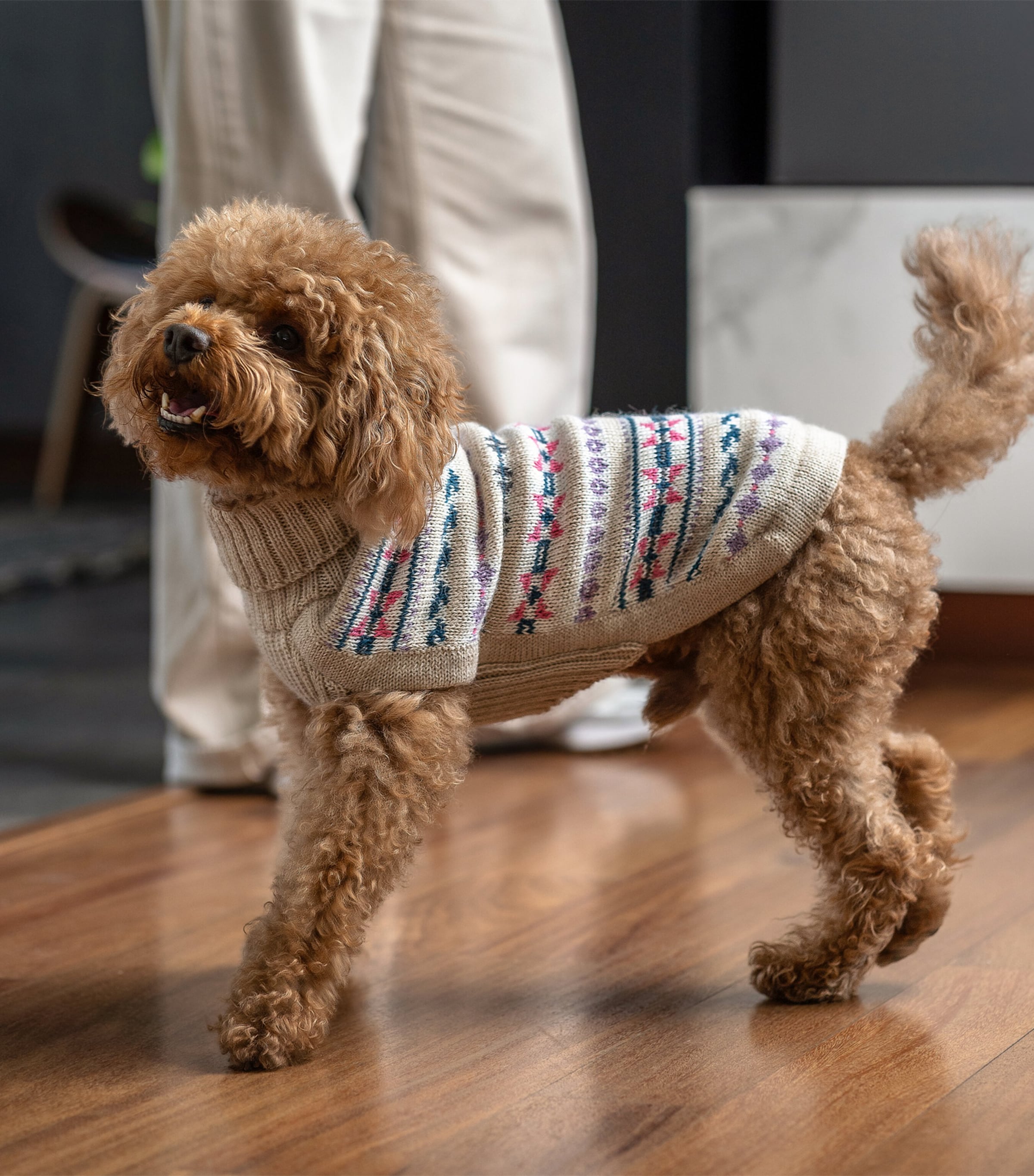 Alpaca-Blend Serendipity Dog Sweater BEIGE / PINK Image 3