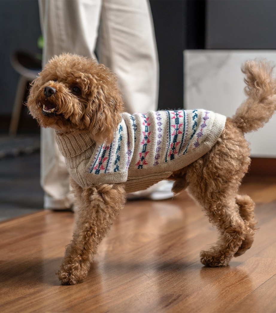 Alpaca-Blend Serendipity Dog Sweater BEIGE / PINK Image 3