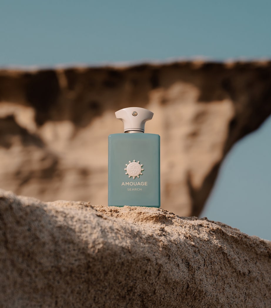 Search Eau de Parfum (100ml) NO COLOUR Image 5