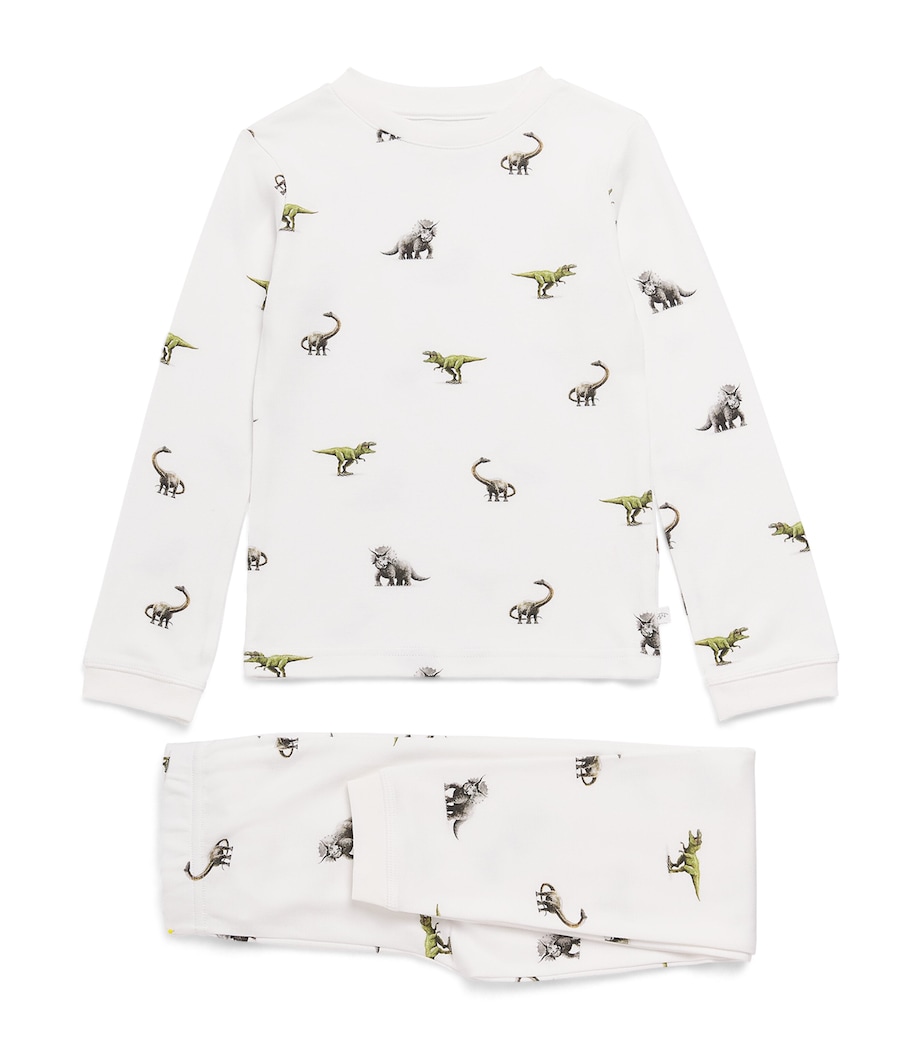 Rosa & Blue Dinosaur Pyjama Set (4-5 Years) Dinosaur Image 1