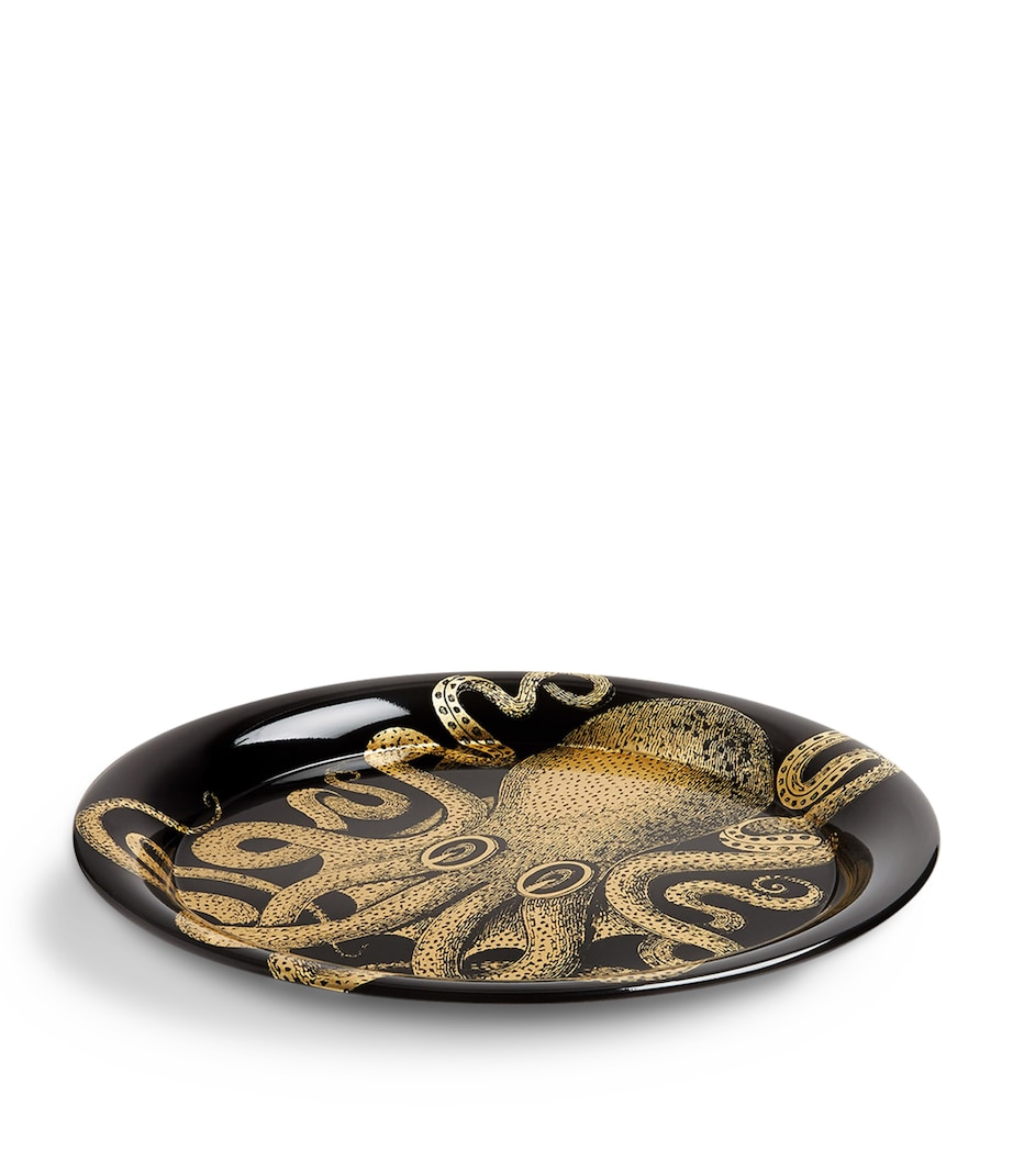 Polipo Tray (60cm) MULTI Image 2