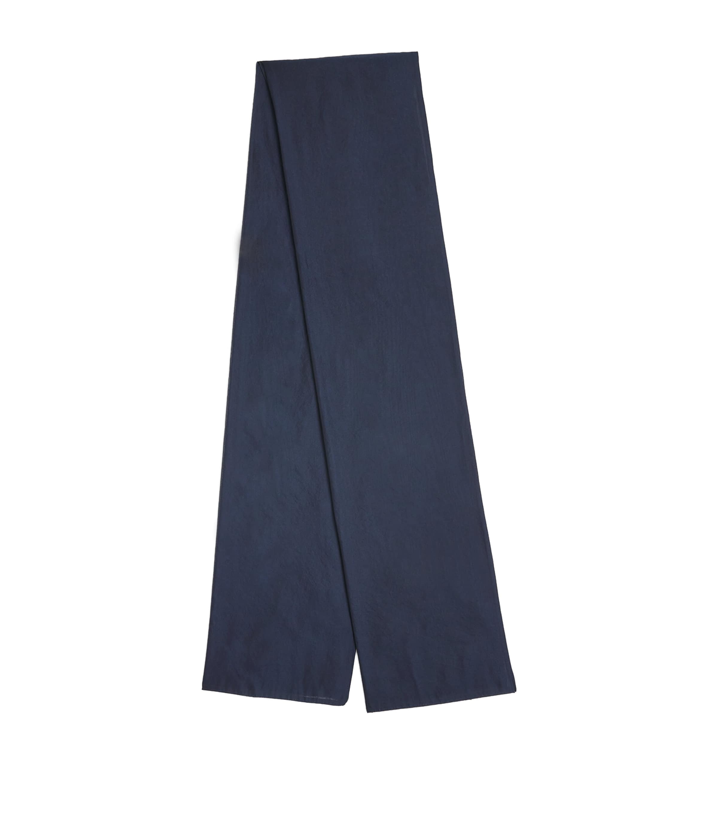 Max Mara Silk-blend Organza Scarf In Blue