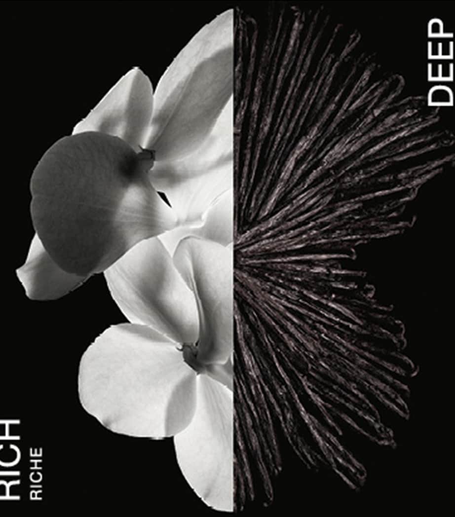 Gentleman Eau de Parfum (60ml) N/A Image 2