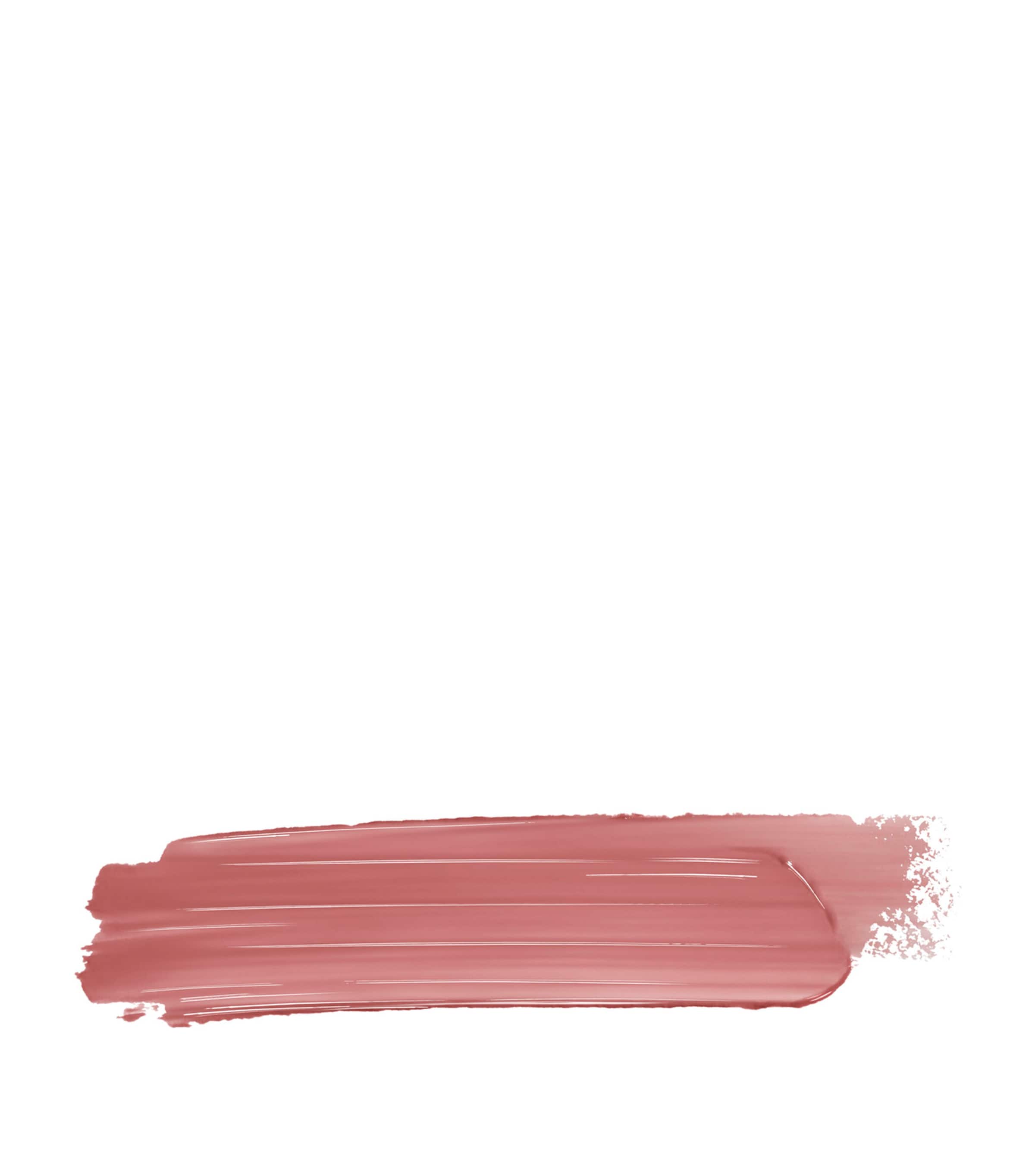 DIOR ADD LIP 527 . Atelier Image 2