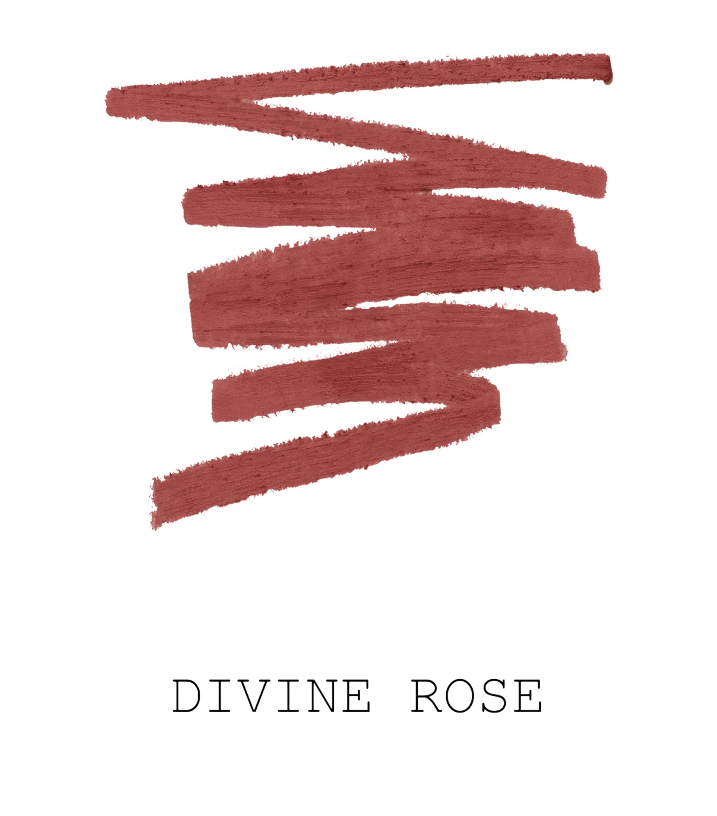 Legendary Longwear Lip Liner DIVINE ROSE Image 3