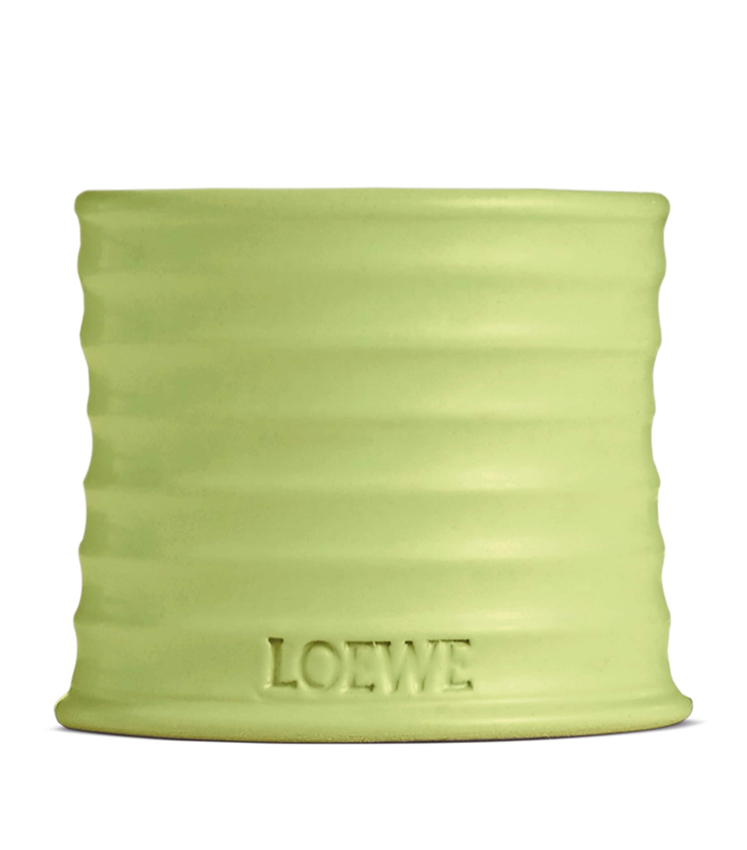 Shop Loewe Small Cucumber Candle