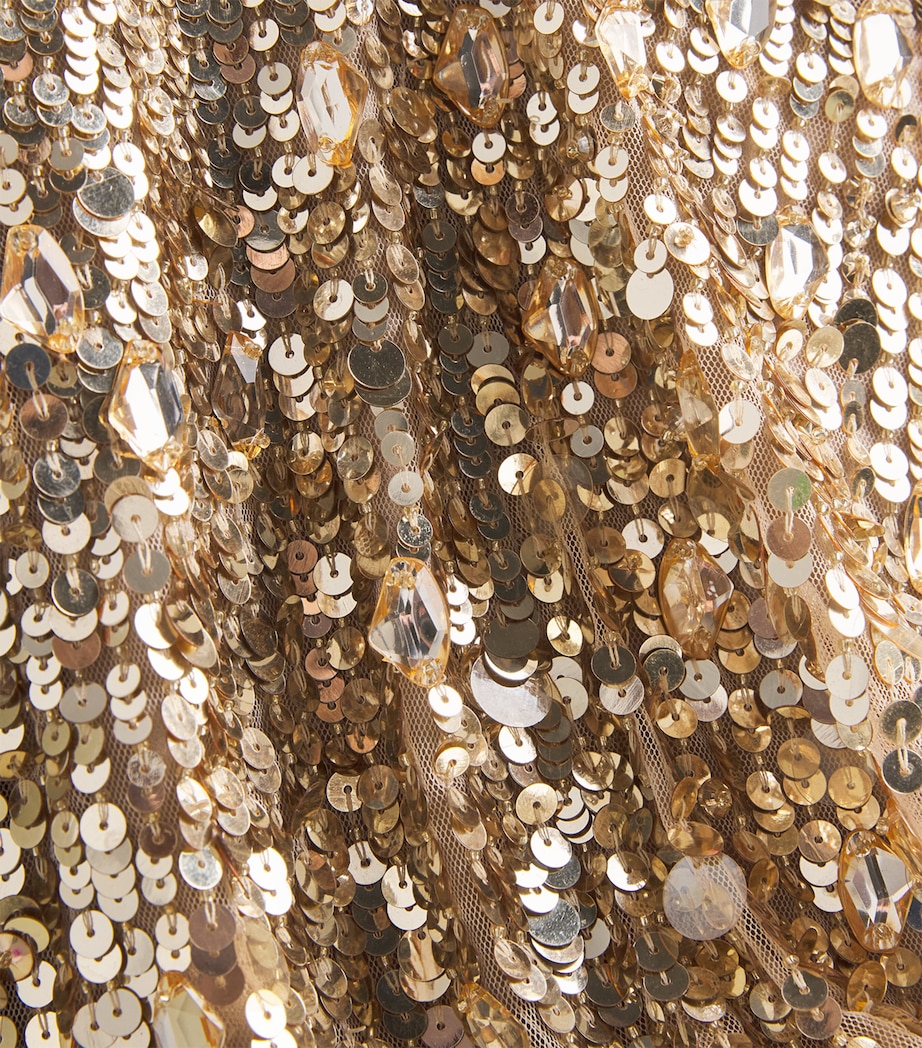 Beaded Mirabeau Maxi Dress 2120 CSHMRE T G BDNG Image 5