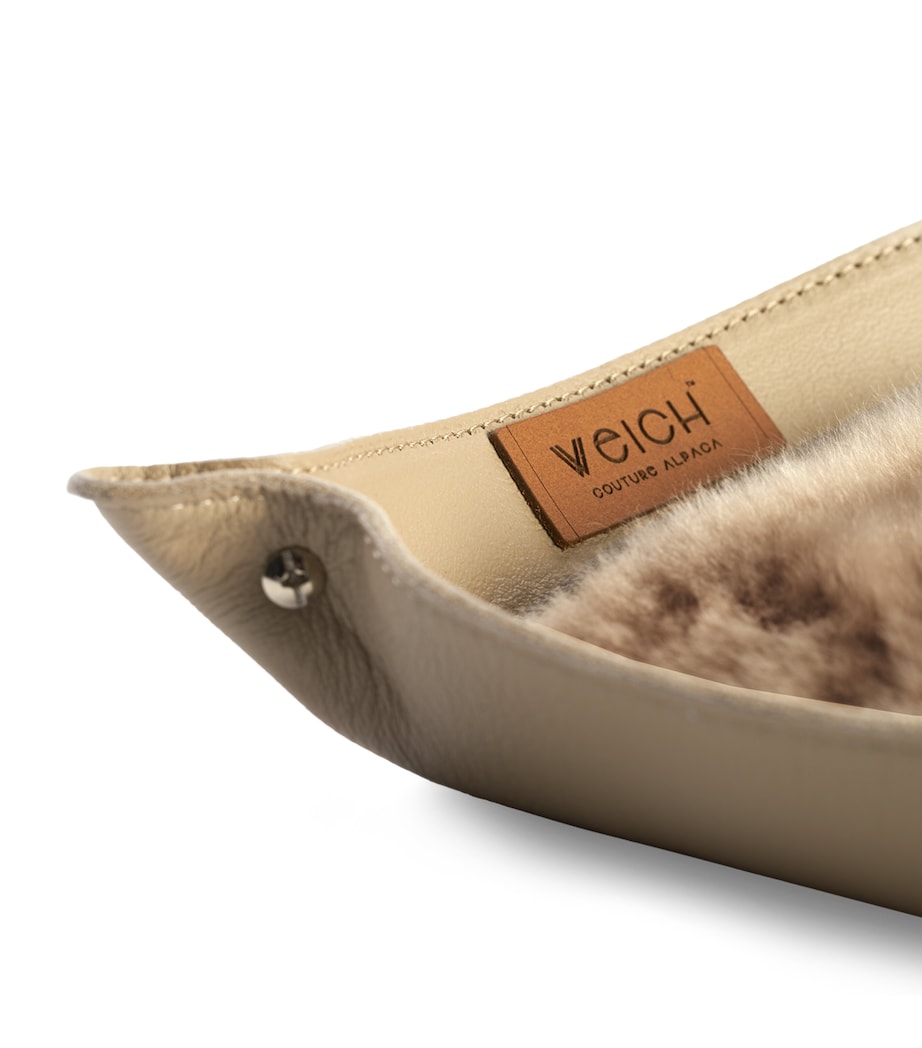 Todo Catchall Tray (20cm x 20cm) TAUPE Image 3