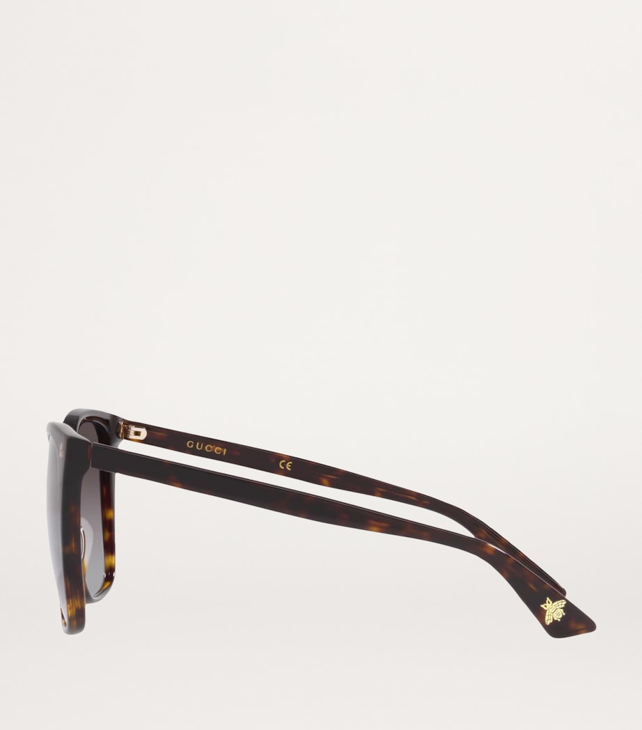 Acetate Square Sunglasses 4402D4 Image 3