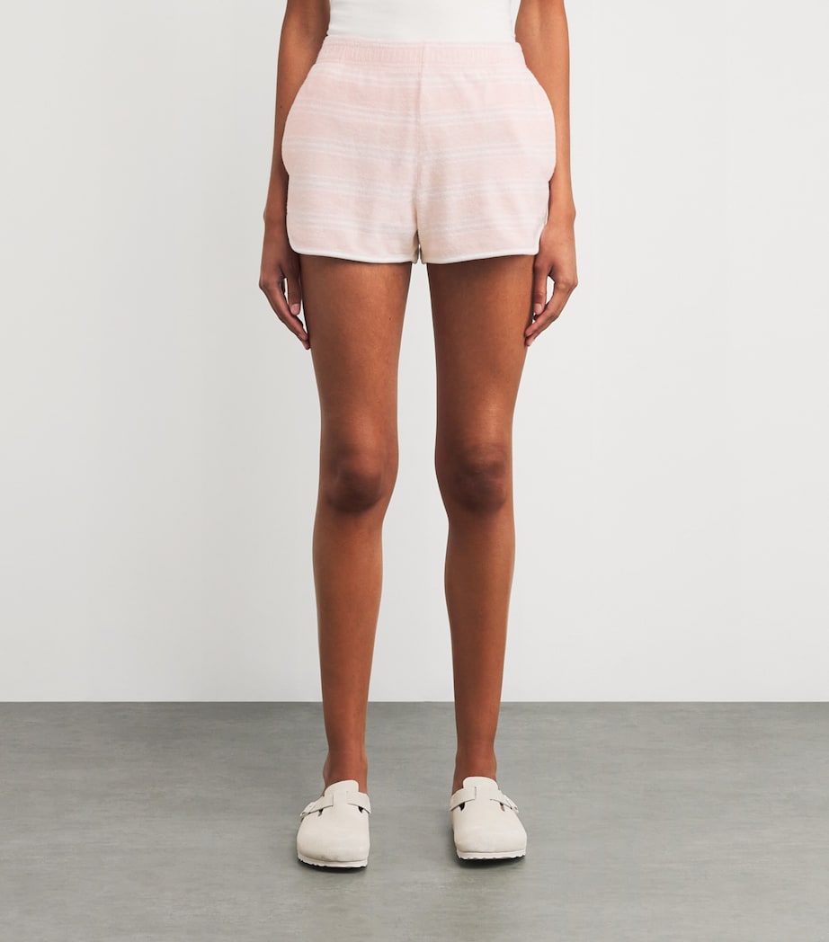 Terry Stripe Shorts PINK DOLPHIN STRIPED Image 3