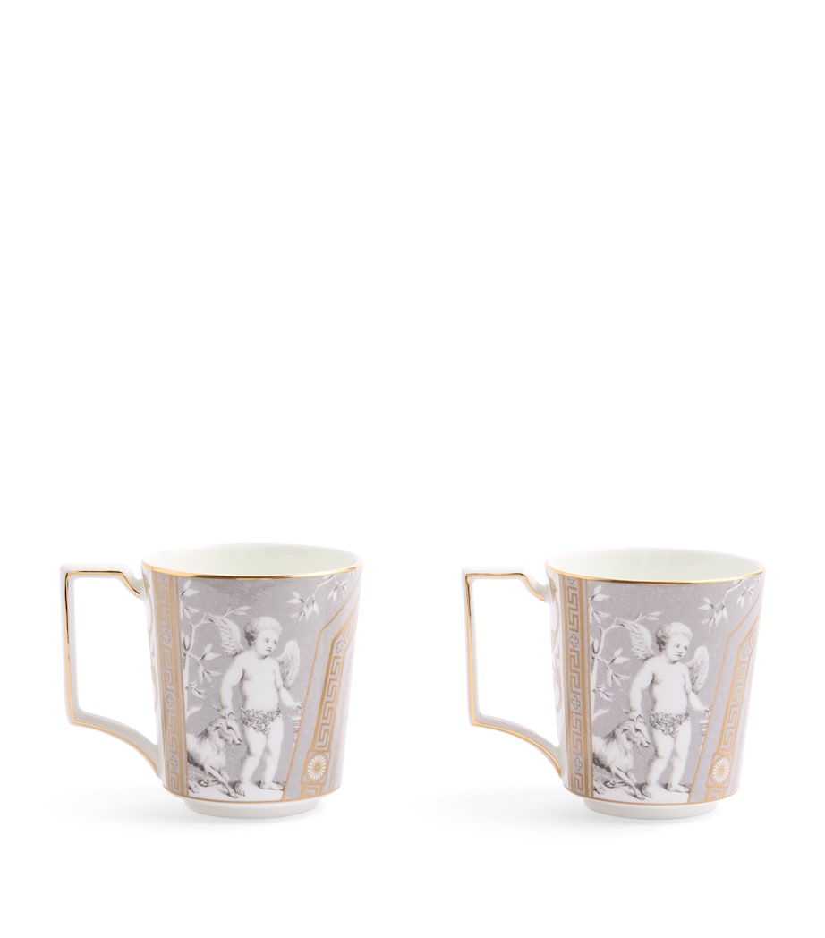 Set of 2 Renaissance Mugs (300ml) GREY Image 3