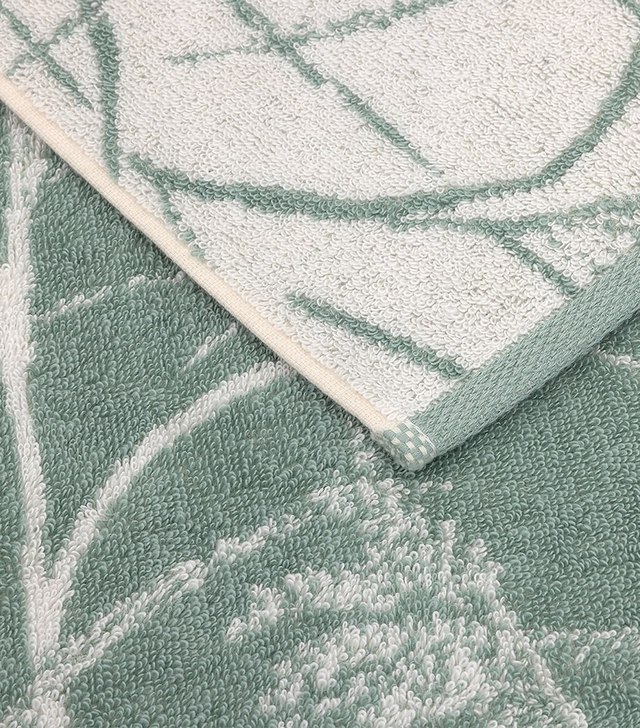Graminée Guest Towel (42cm x 70cm) MULTICOLOURED Image 5