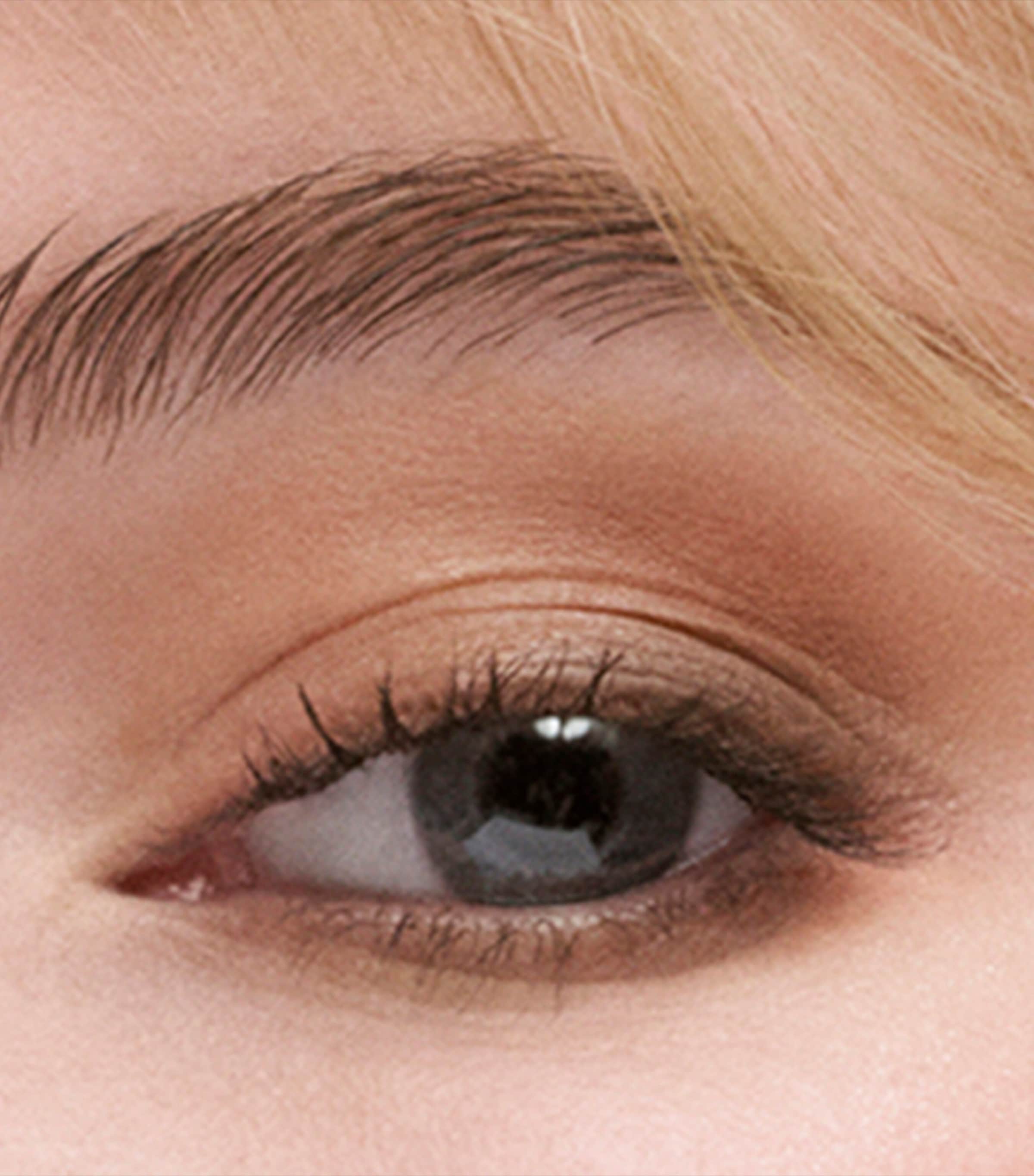 The Essential Eyeshadow Quad GALLERY HOP Image 3