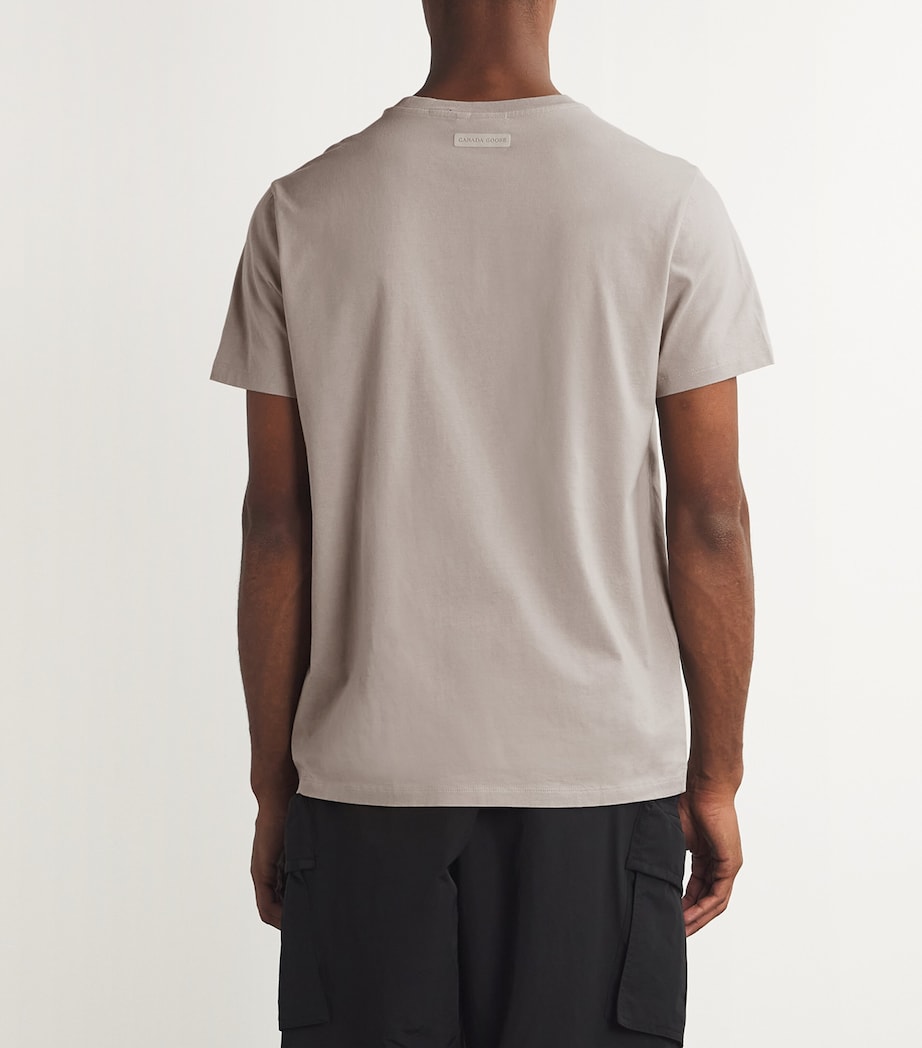 Cotton Emersen T-Shirt 432 LIMSTNE CALCAIRE Image 4