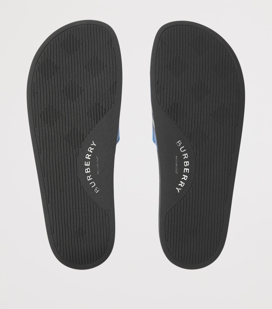 Check Slides HYACINTH IP CHECK Image 5