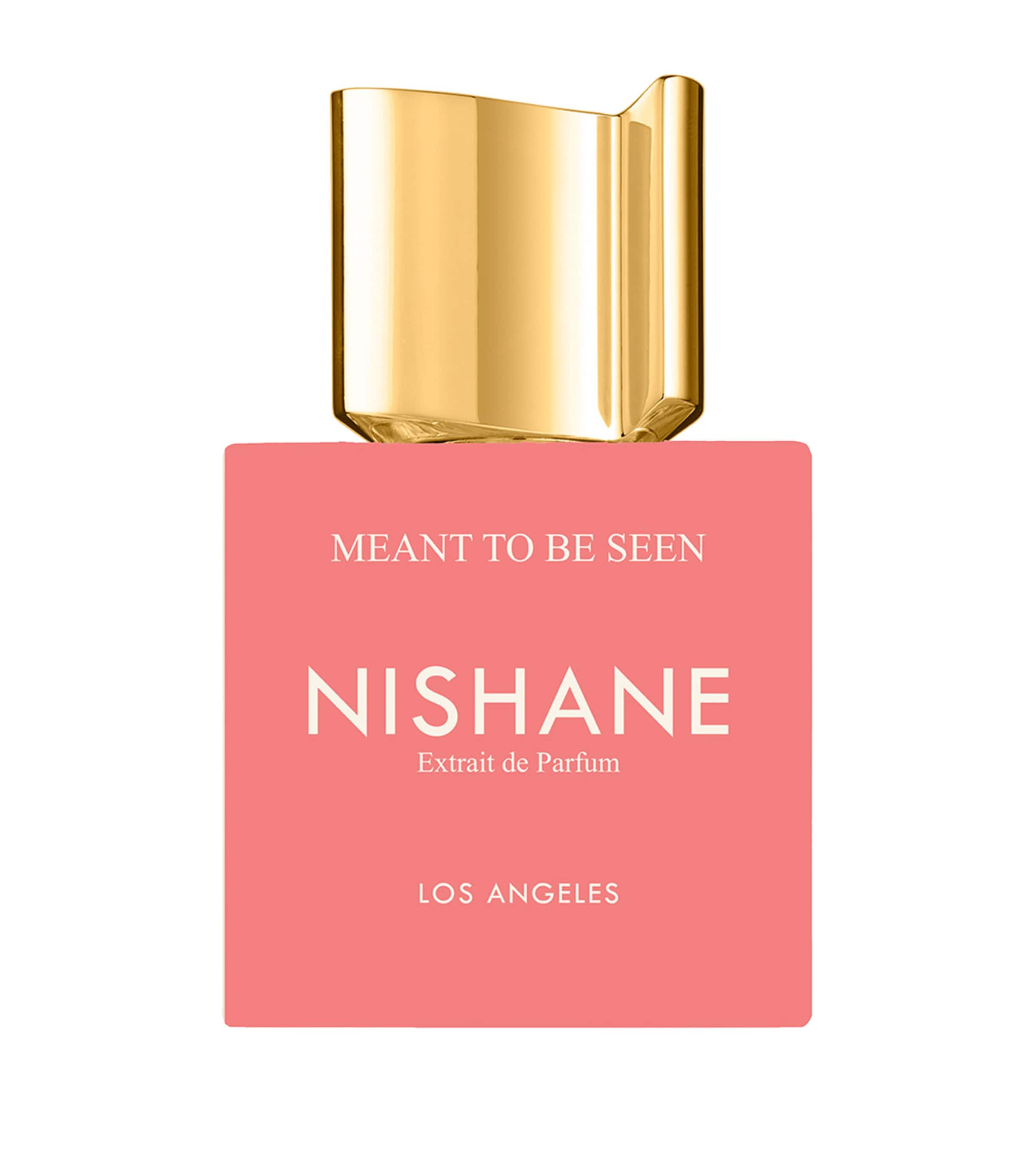 Nishane Meant To Be Seen Extrait De Parfum
