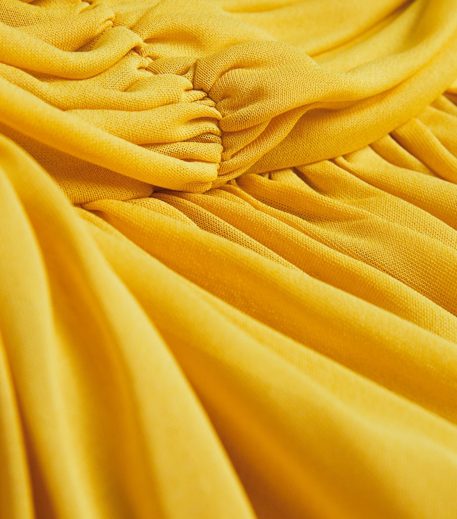 Giambattista Valli Womens Tulle Halterneck Maxi Dress Yellow Image 5