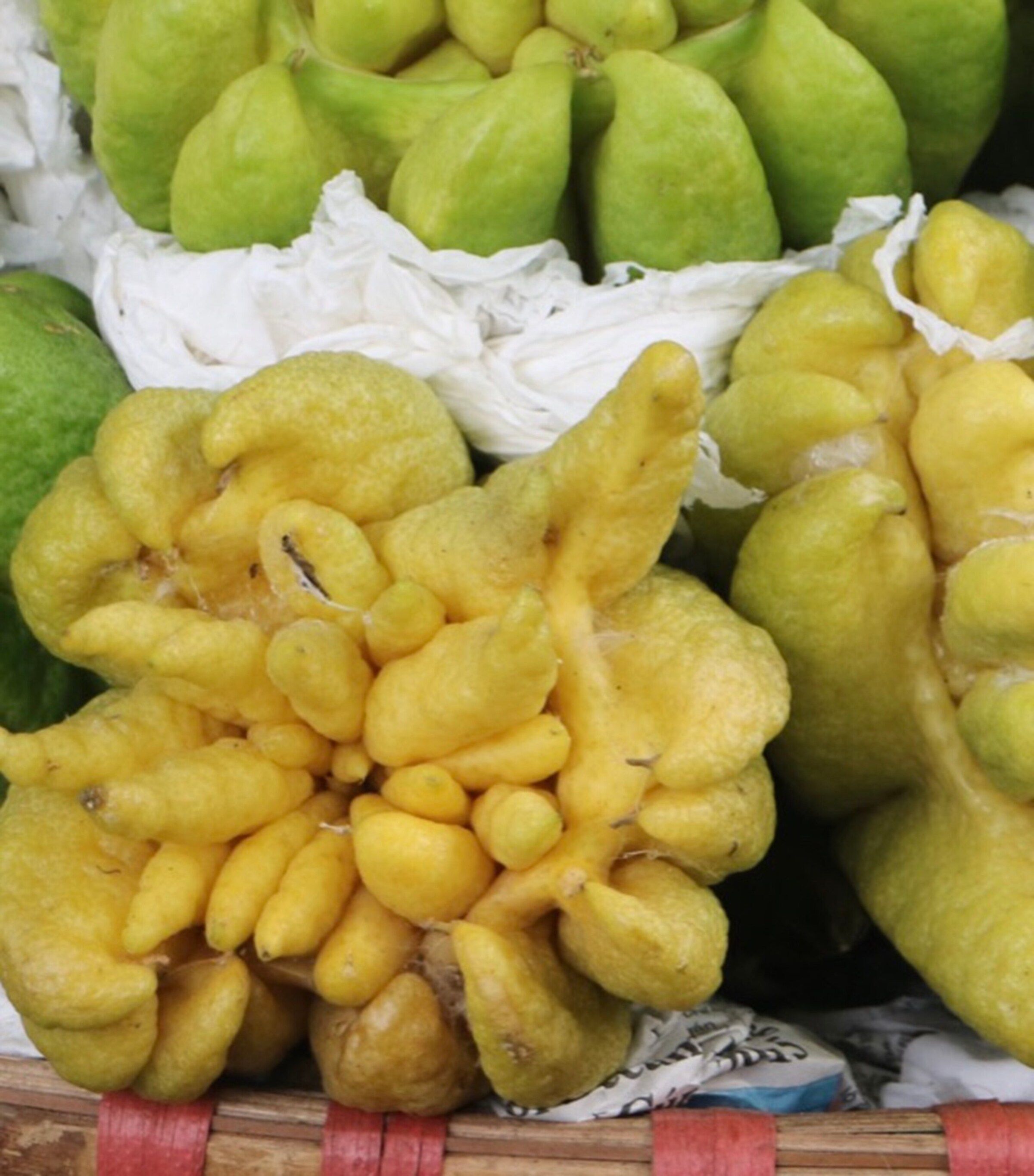 Citrus Batikanga Eau de Parfum (100ml) NO COLOUR Image 10