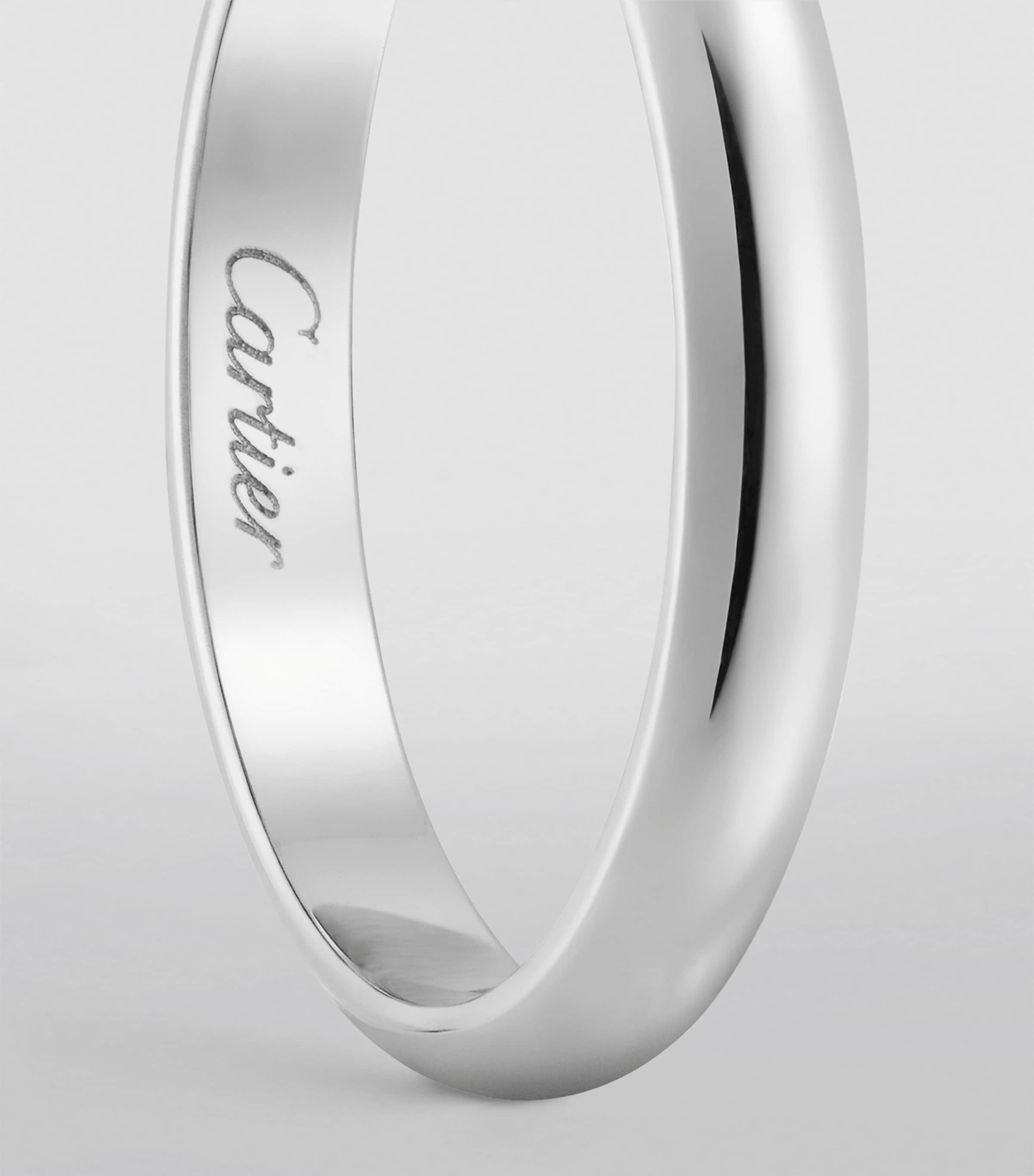 Platinum 1895 Wedding Ring MULTI Image 3
