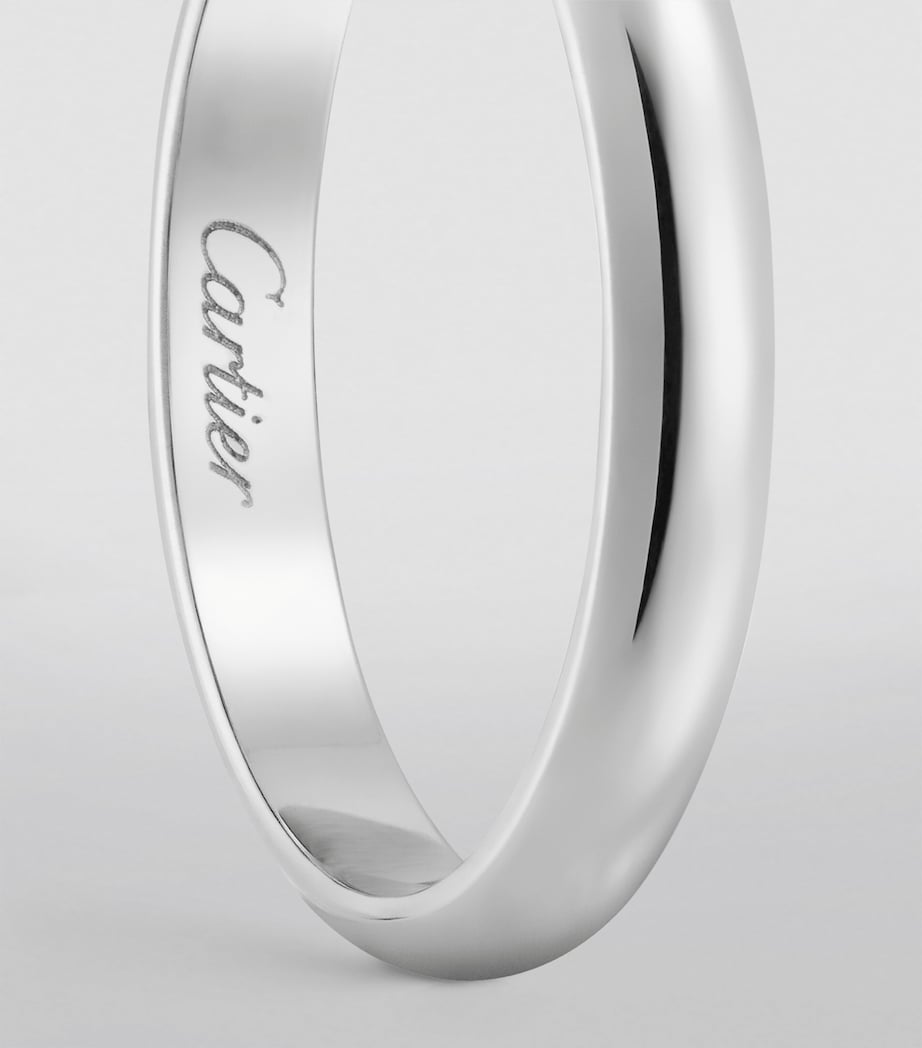 Platinum 1895 Wedding Ring MULTI Image 3
