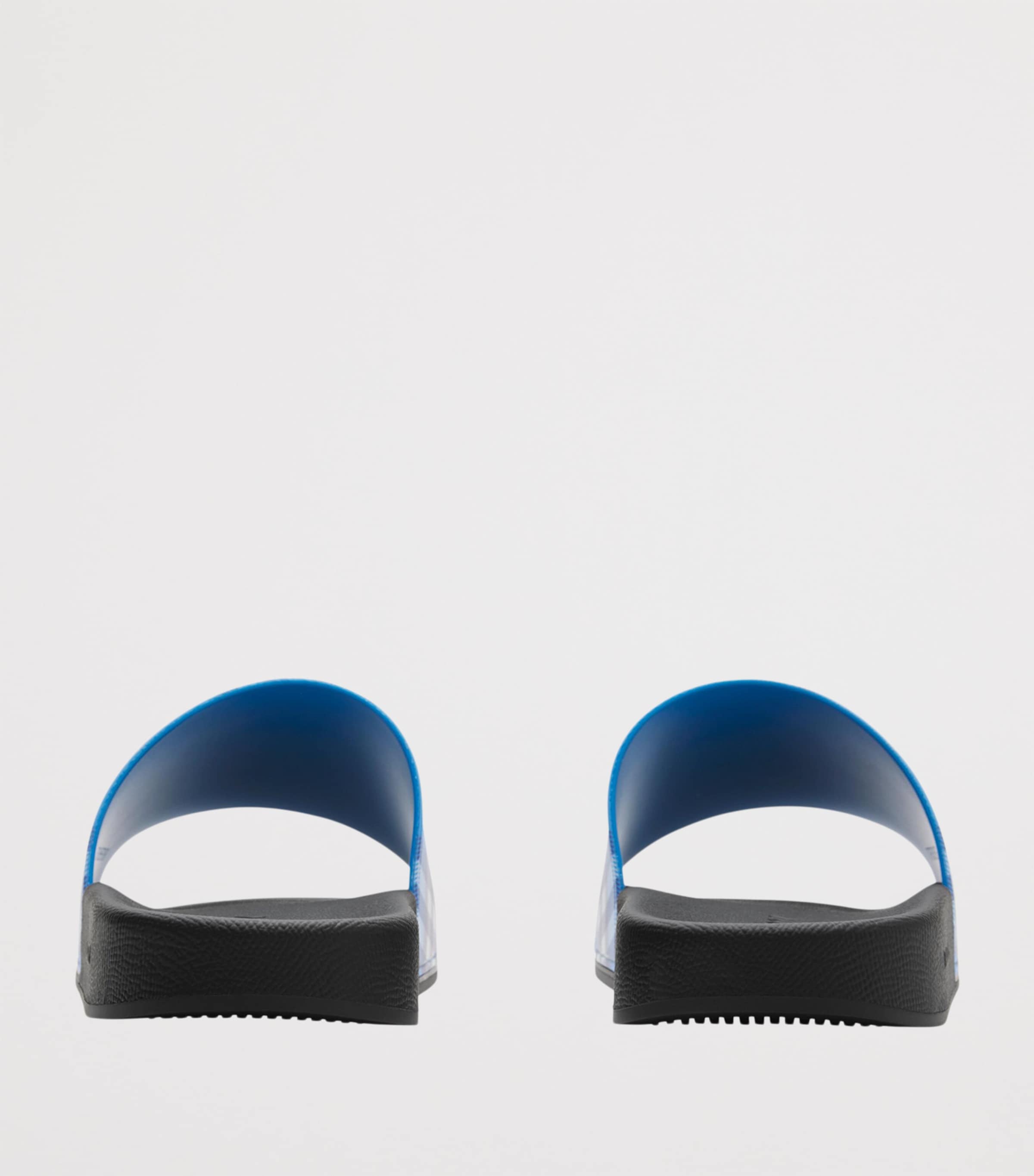 Check Slides HYACINTH IP CHECK Image 4