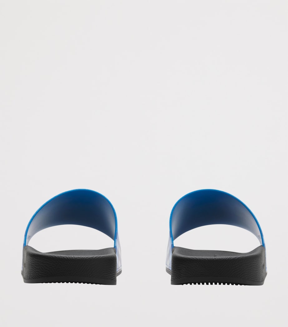 Check Slides HYACINTH IP CHECK Image 4