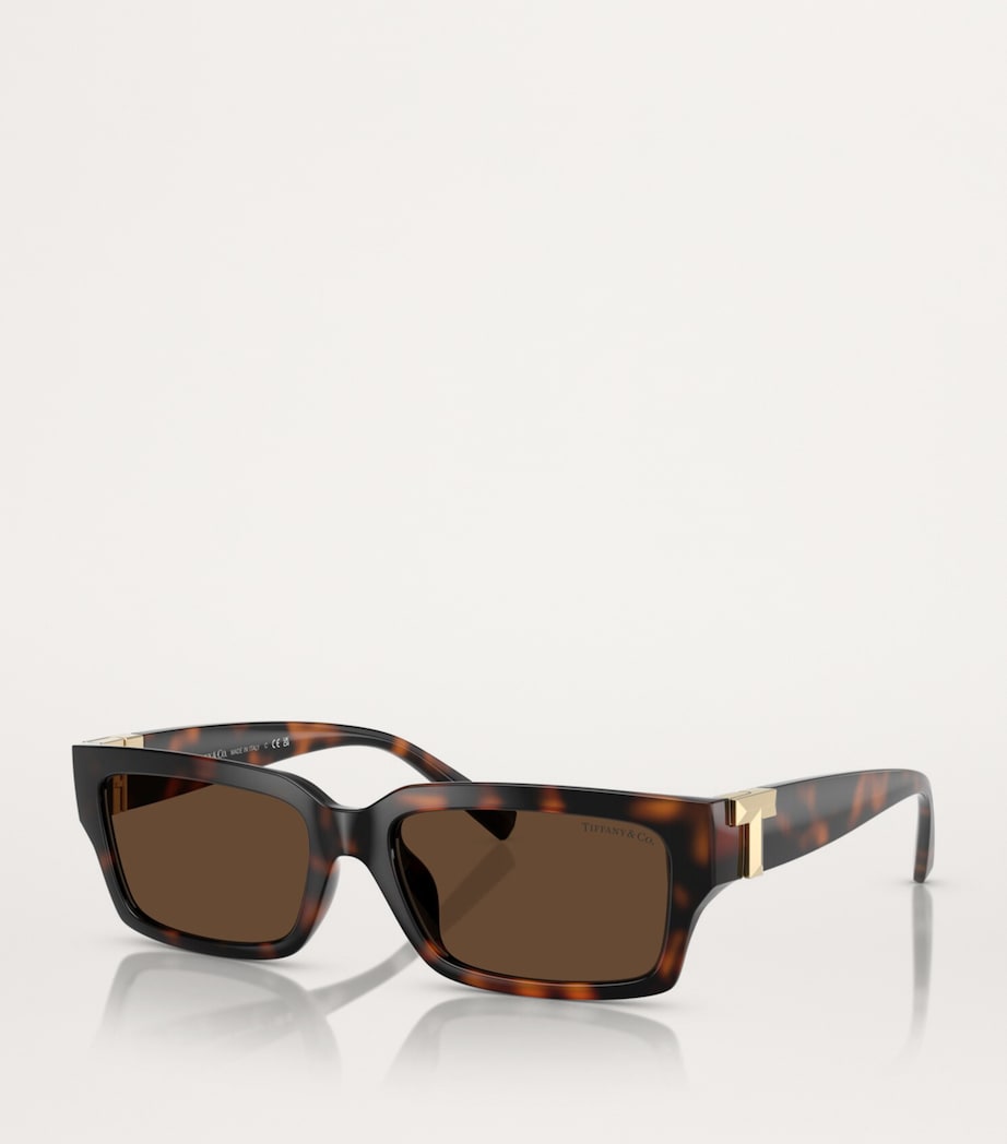 Tortoiseshell Sunglasses 80153G Image 2
