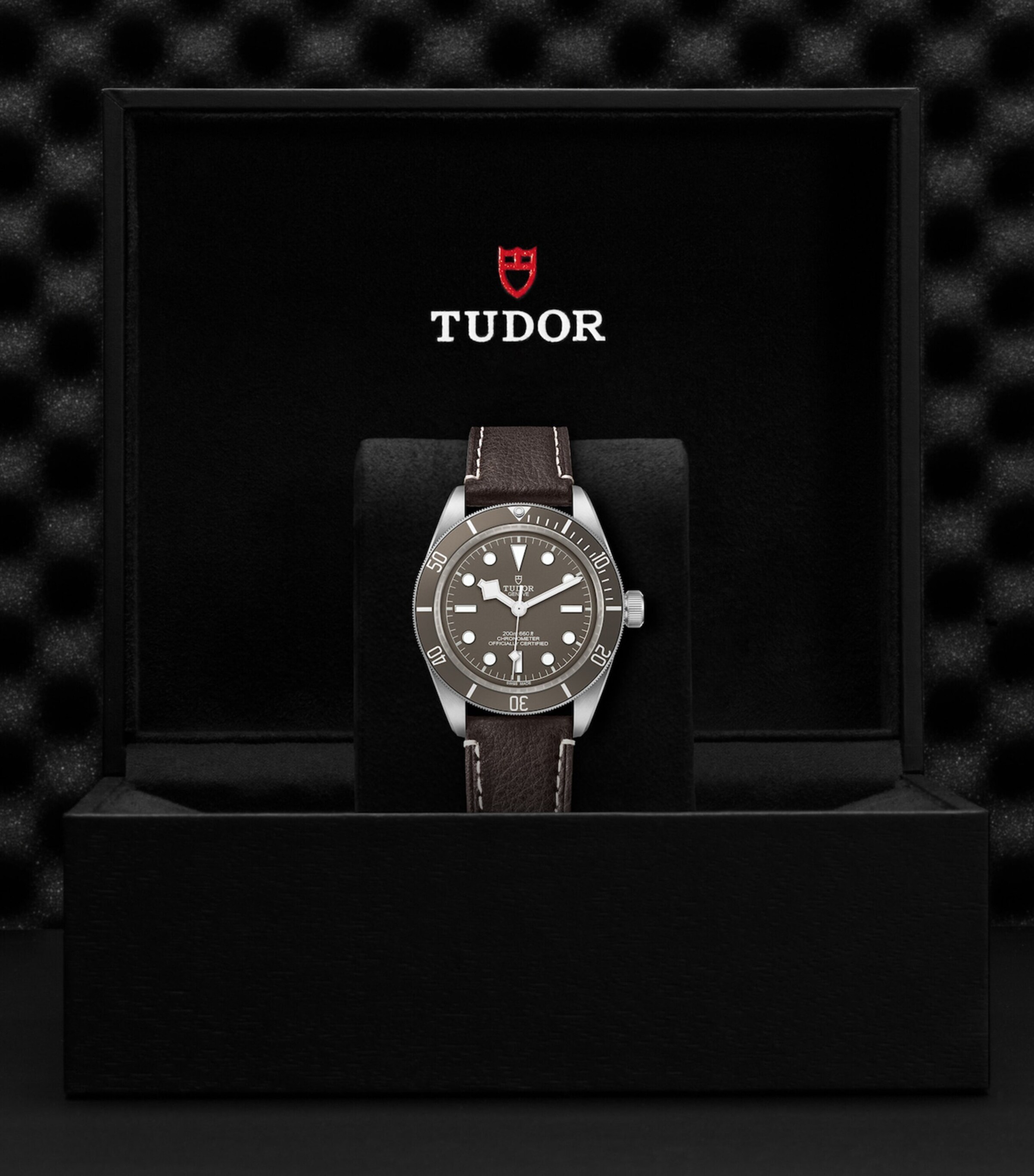 TUDOR Black Bay Fifty-Eight 925 Silver Watch 39mm Grey Image 4