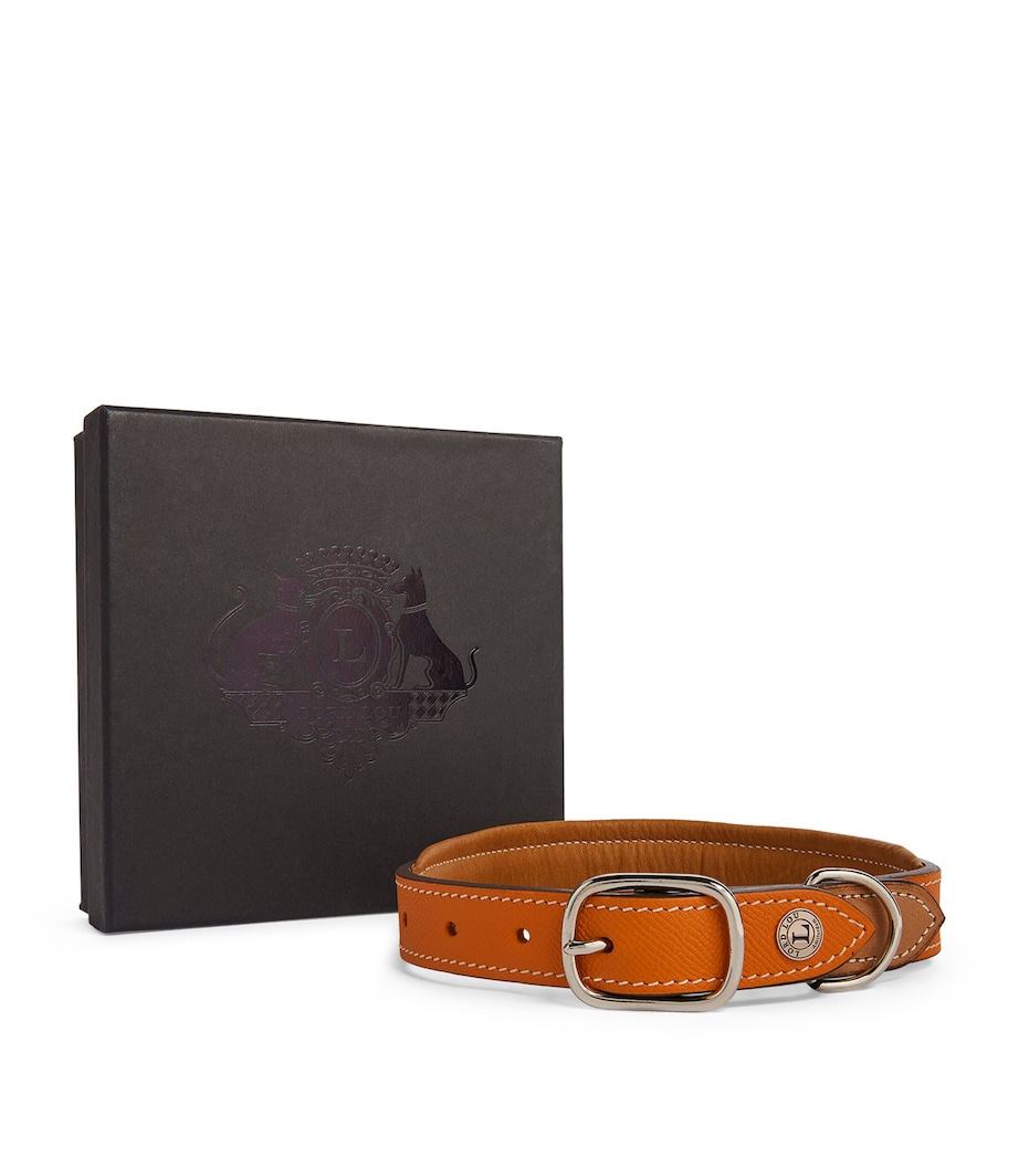 Leather Ascot Dog Collar (Medium) ORANGE Image 3