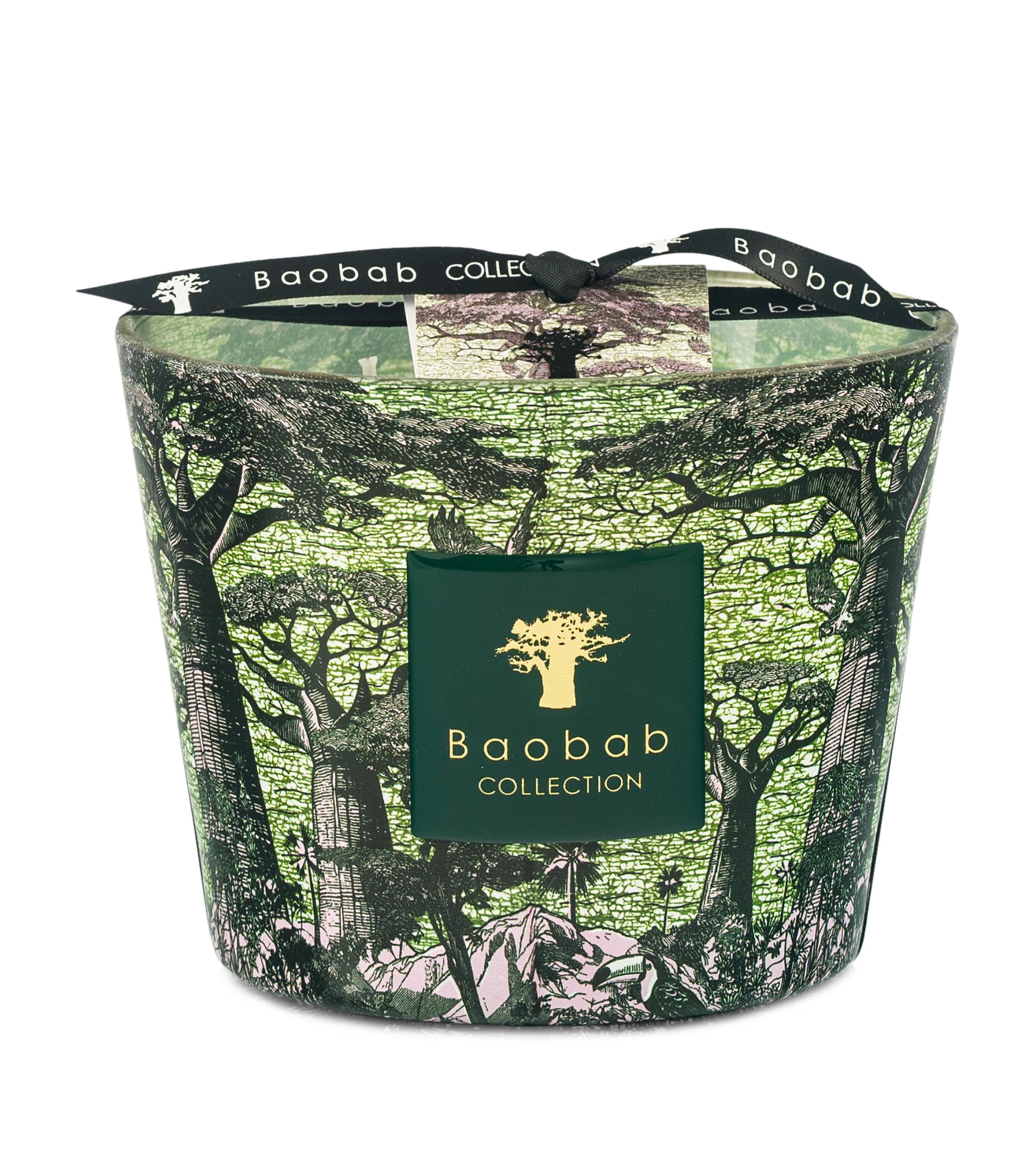 Baobab Collection Sacred Trees Touba Candle In Green